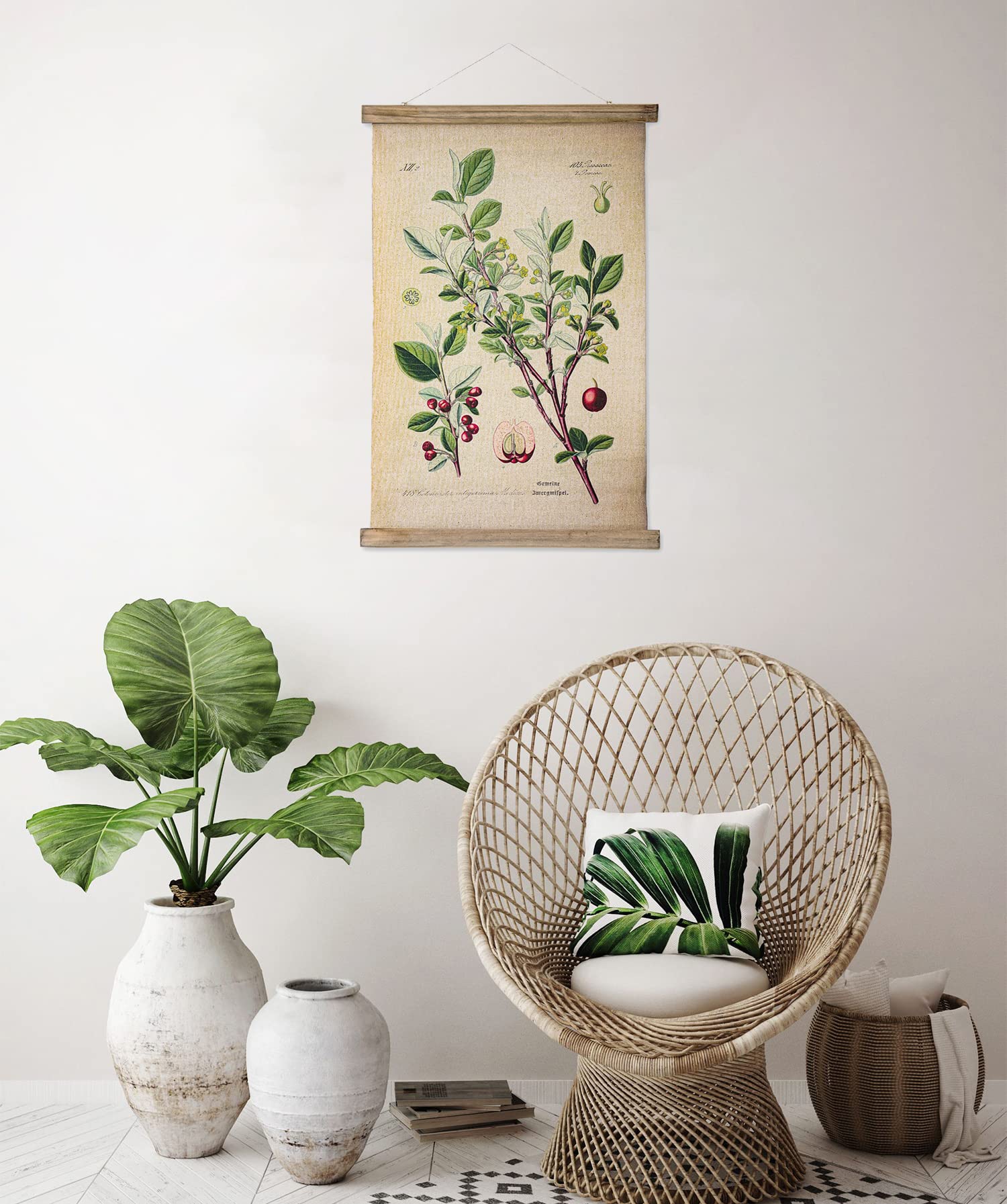 ABoby Vintage Hanging Poster  Illustrative Reference Plant Poster  Retro Style of Botanical Wall Art Prints  Printed on Linen with Wood Frame  Ready to Hang