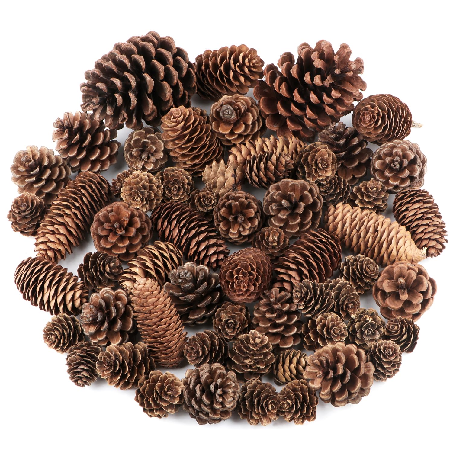 Jangostor 60 Pine Cones Decorations - Natural Bulk Package, Large Medium & Mini Sizes - Rustic Pine Cone Ornaments for Table, Ch