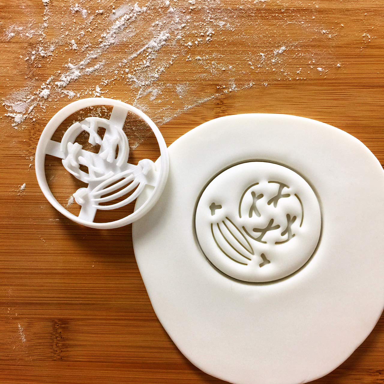 Set Of 4 Mitosis Cookie Cutters (Designs: Metaphase, Anaphase, Prophase, Telophase), 4 Pieces - Bakerlogy