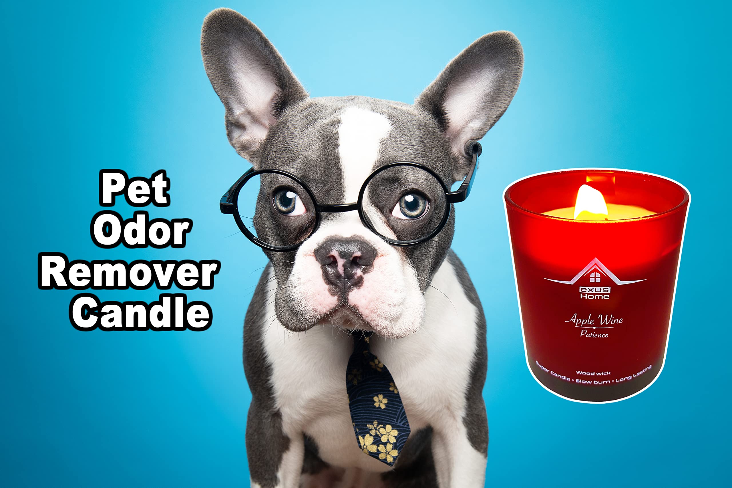 Exus Hand Crafted, Odor Eliminator, Strong Scent, 100% Natural Soy Wax, Wood Wick, Non-Toxic Candle (Honeysuckle/Simplicity)