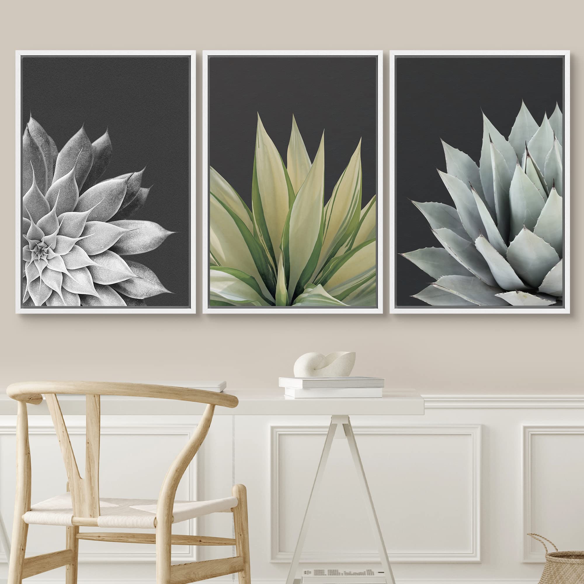Signwin Framed Canvas Print Wall Art Trio Of Echevaria Succulents Floral Plants Photography Modern Art Minimalist Closeup Dramat