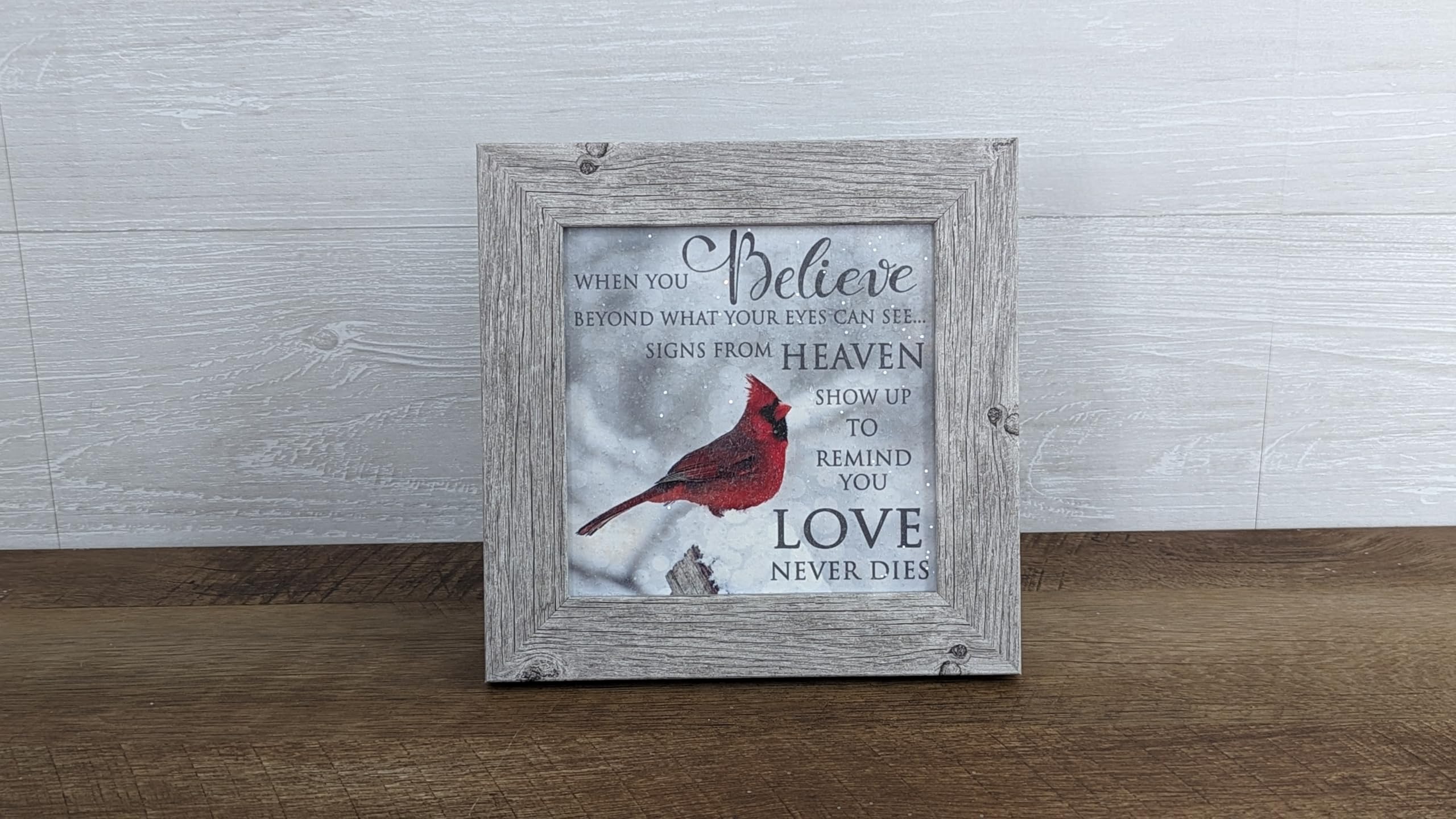 Summer Snow When You Believe Beyond What Your Eyes Can See Miracles Heaven Cardinal Sympathy Framed Decor Art Picture Sign