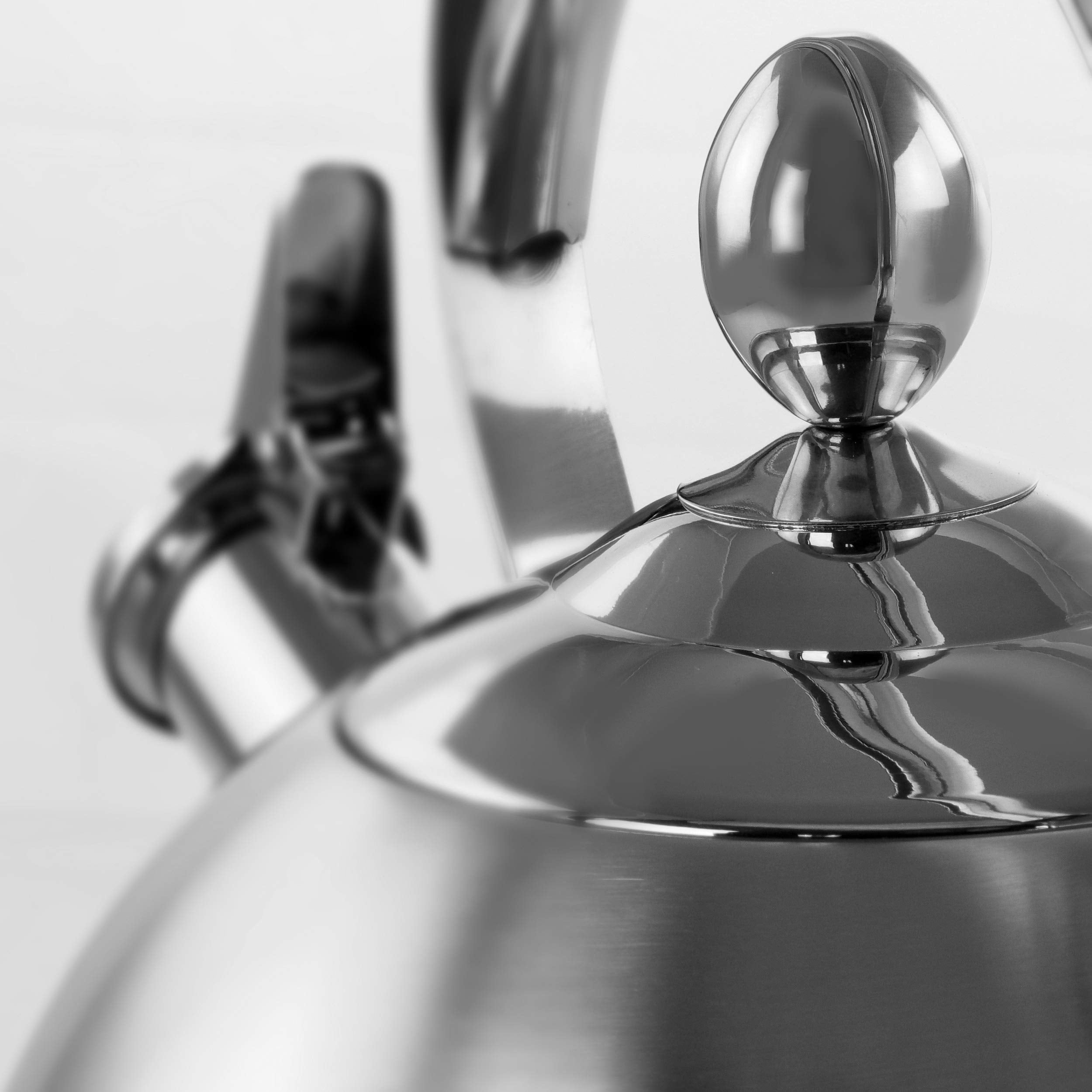 Megachef 2.8 Liter Stovetop Whistling Kettle In Brushed Silver