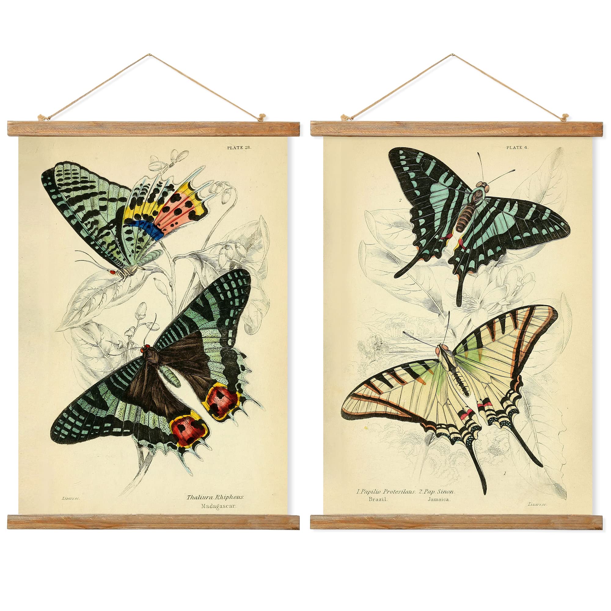 Ovfovy Vintage Butterflies Poster, Retro Style Wall Art Prints, Printed On Linen With Wooden Frame, For Living Room Office Bedro