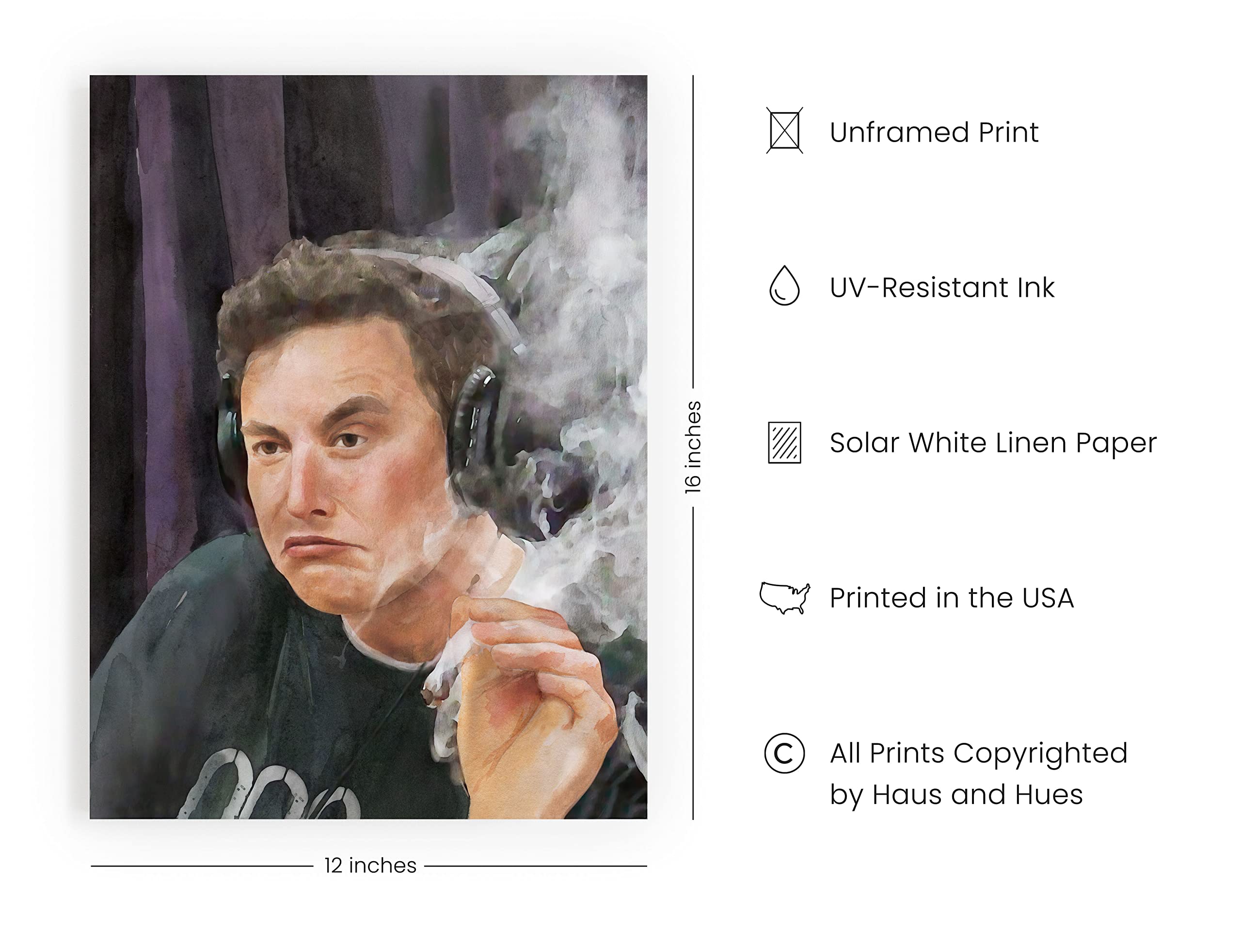 Haus And Hues Elon Musk Posters For College Dorm Trippy Room Decor College Posters | Funny College Posters For Guys, Cool Poster