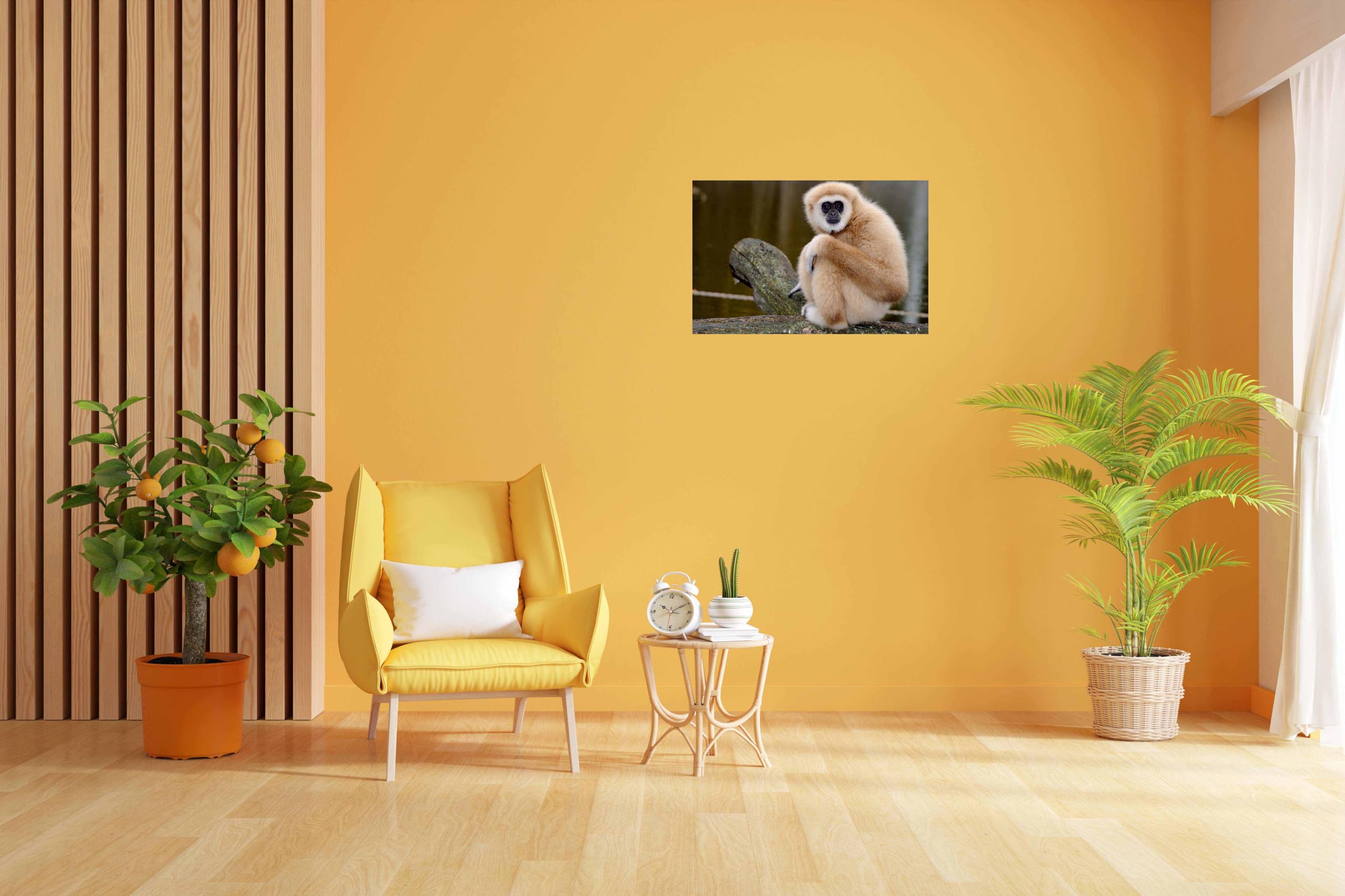 Baldau Prints Monkey Langur Photo Wall Poster For Room (Gloss Laminated, 12X18 Inch, 300 Gsm) F-327