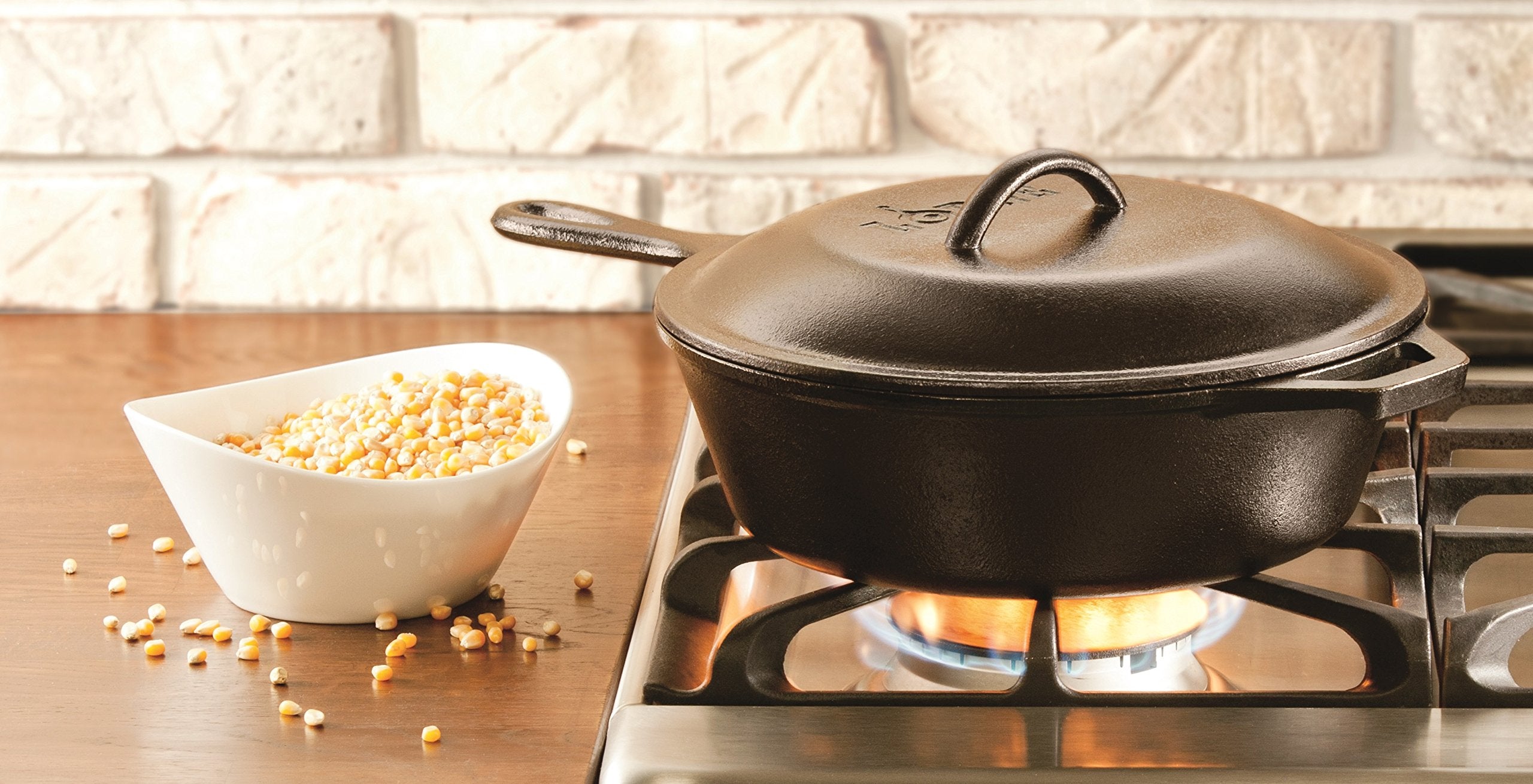 Lodge L5Ic3 8-Inch Cast Iron Lid