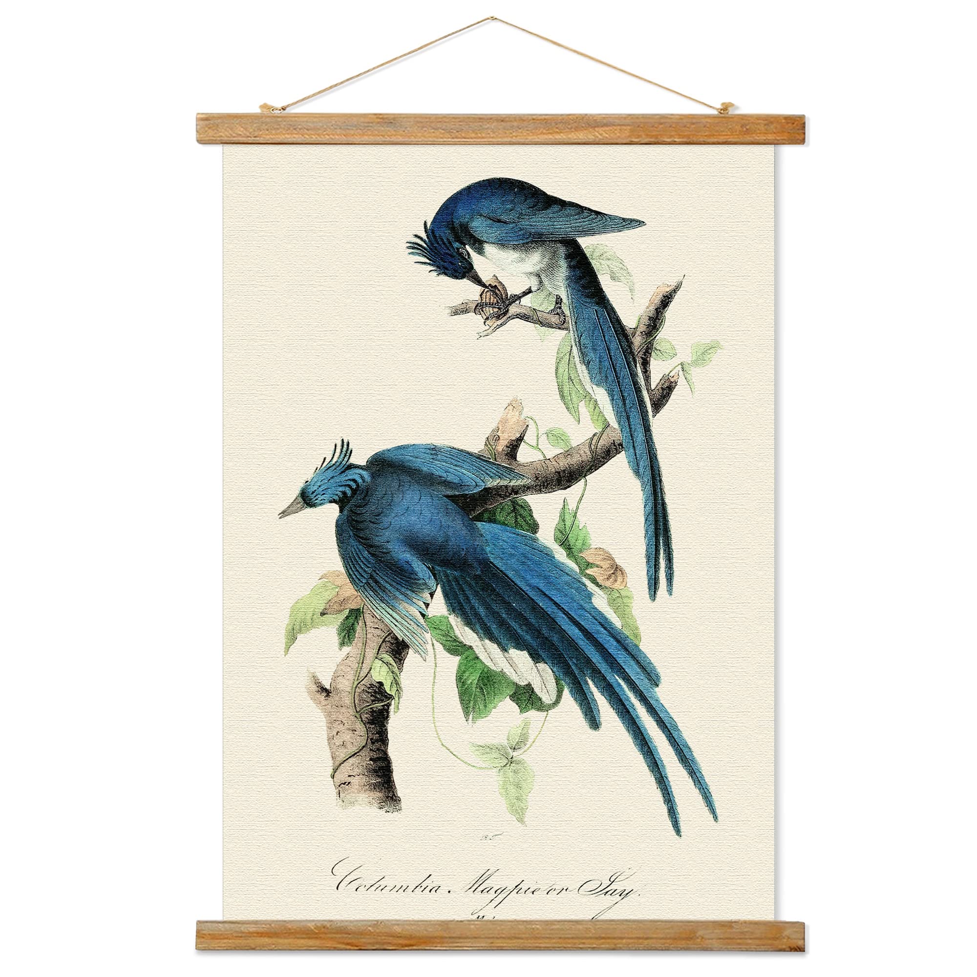 Vintage Birds Poster Hanger Frame, Retro Style Of Wall Art Prints, Printed On Linen With Natural Wooden Frames, Illustrative Ref