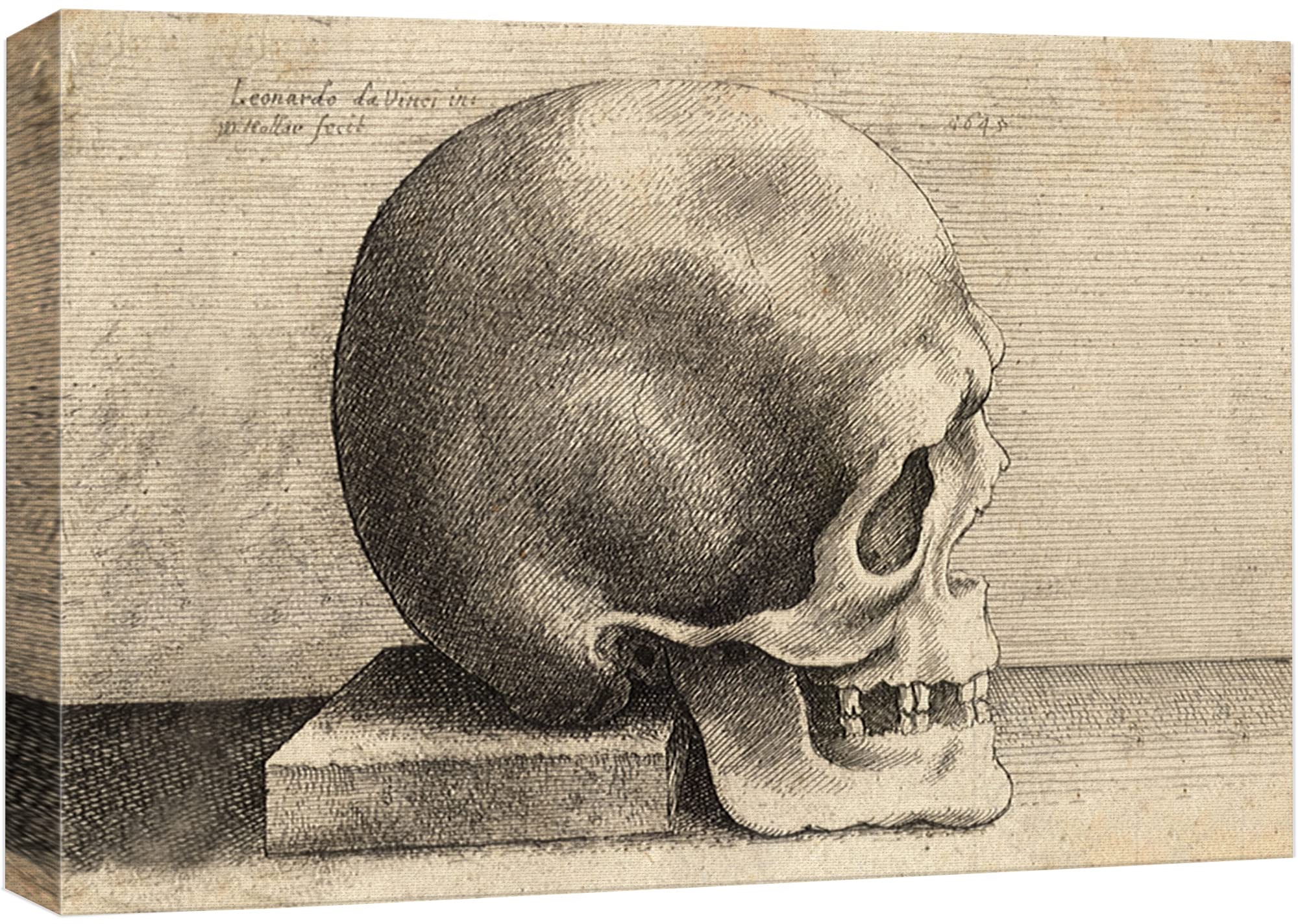 Wall26 Framed Canvas Print Wall Art Right Profile Of A Skull By Leonardo Da Vinci Historic Cultural Illustrations Realism Tradit