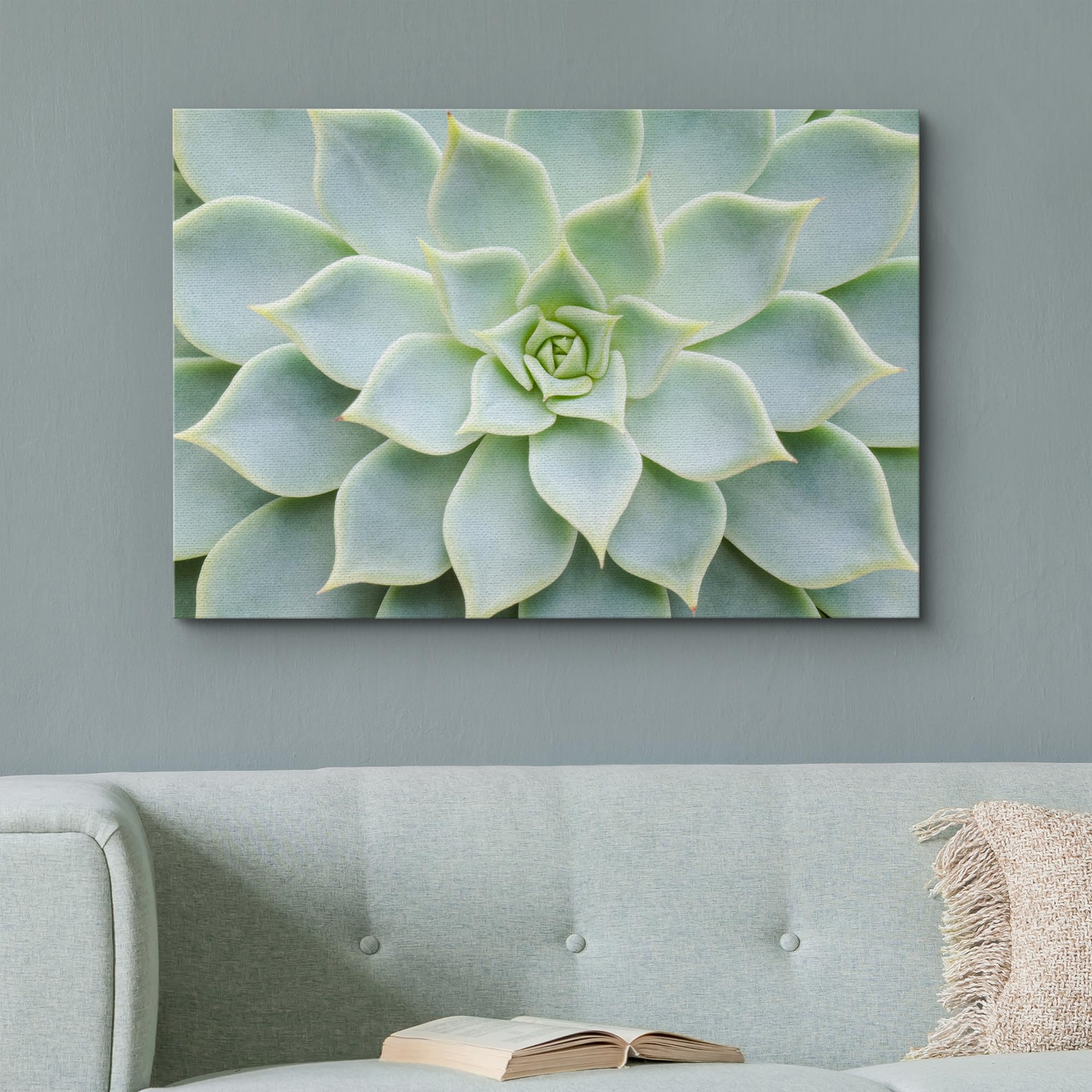 Wall26 Canvas Print Wall Art Green Rose Succulent Nature Wilderness Photography Realism Floral Botanical Southwest Rustic Countr