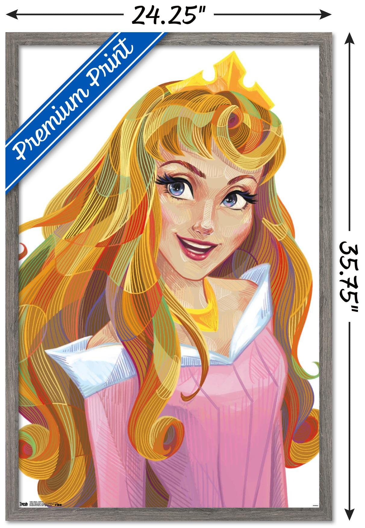 Trends International Disney Sleeping Beauty - Aurora - Stylized Wall Poster, 22.375'' X 34'', Barnwood Framed Version