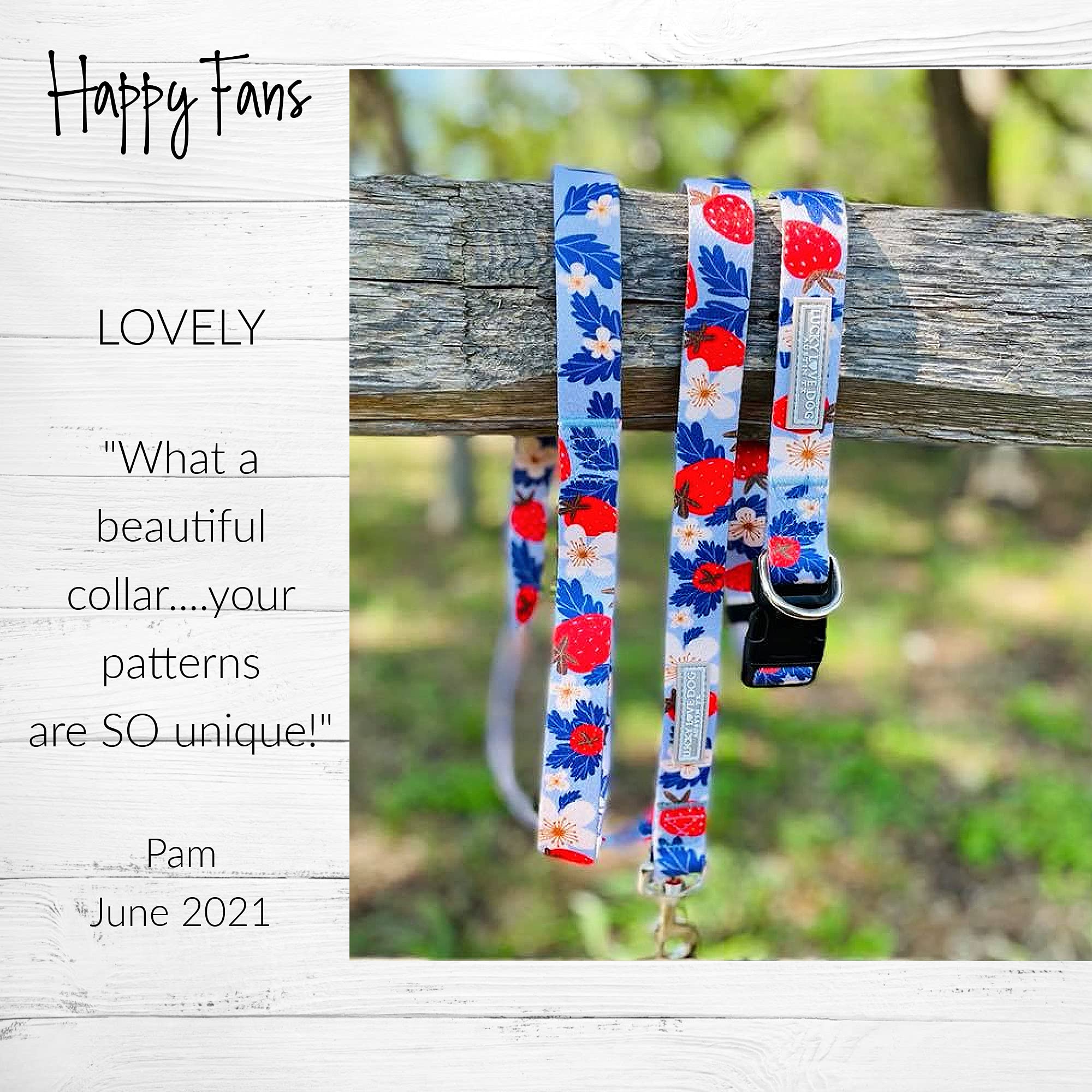 Lucky Love Dog Collar Combo Set  Strawberry Cute Girl Dog Collar And Leash Set  Dog Collar And Leash Set For Small Dogs Part Of