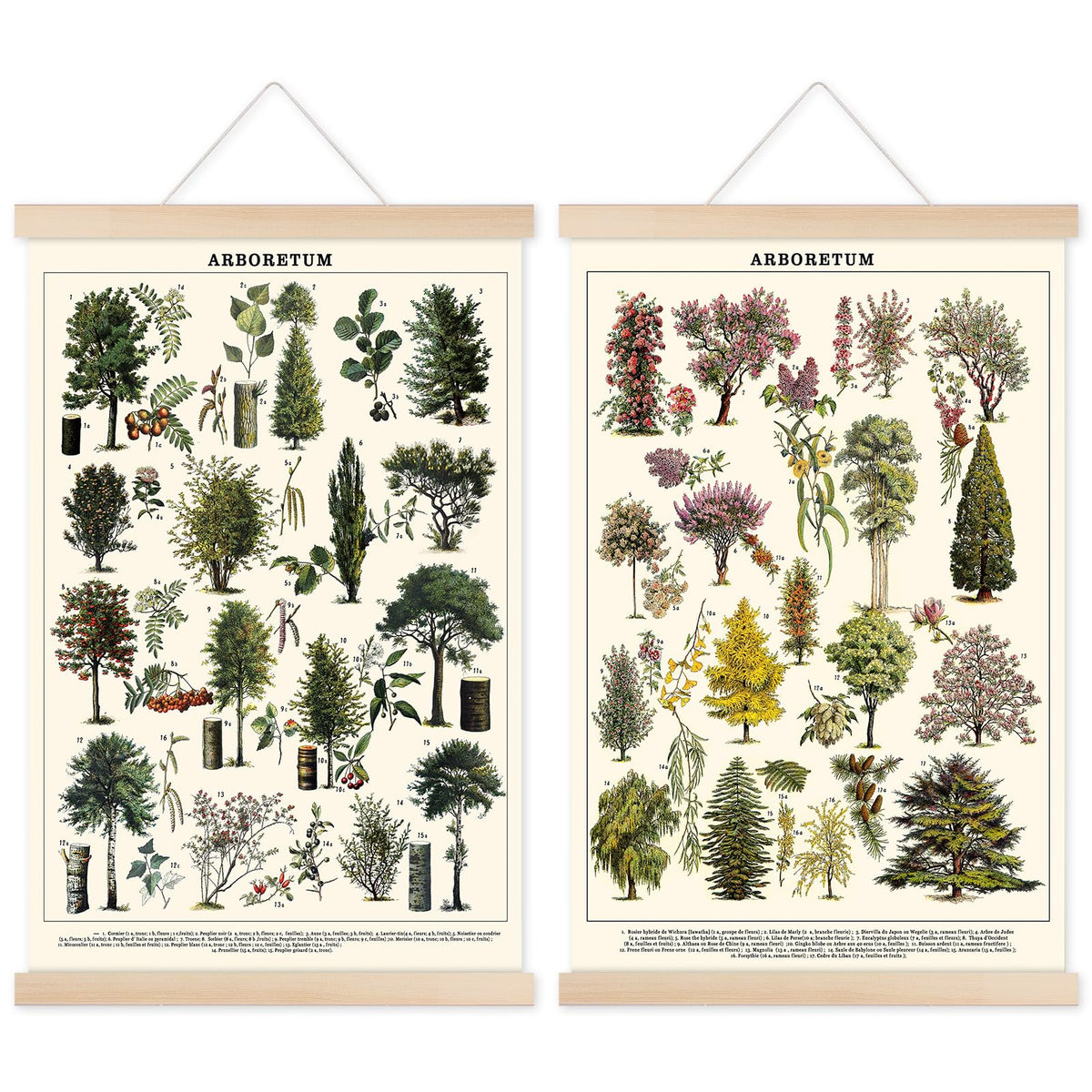 Chenkaiyang Vintage Tree Poster (2 Pcs), Green Tree Wall Art Prints, R ...