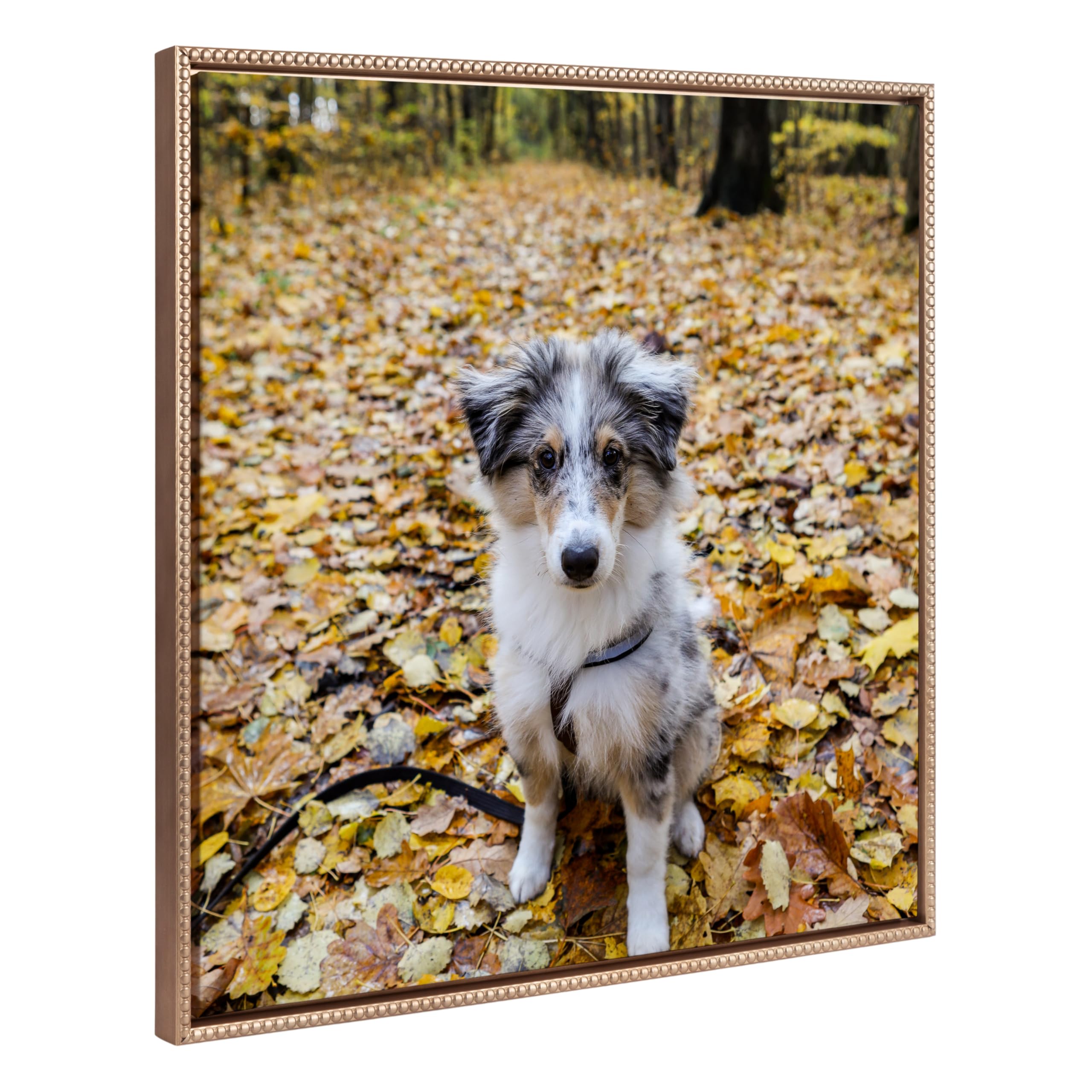 Kate And Laurel Sylvie Square Custom Printed Beaded Framed Canvas Wall Art, 30X30 Gold, Personal Canvas Print With Your Photos F