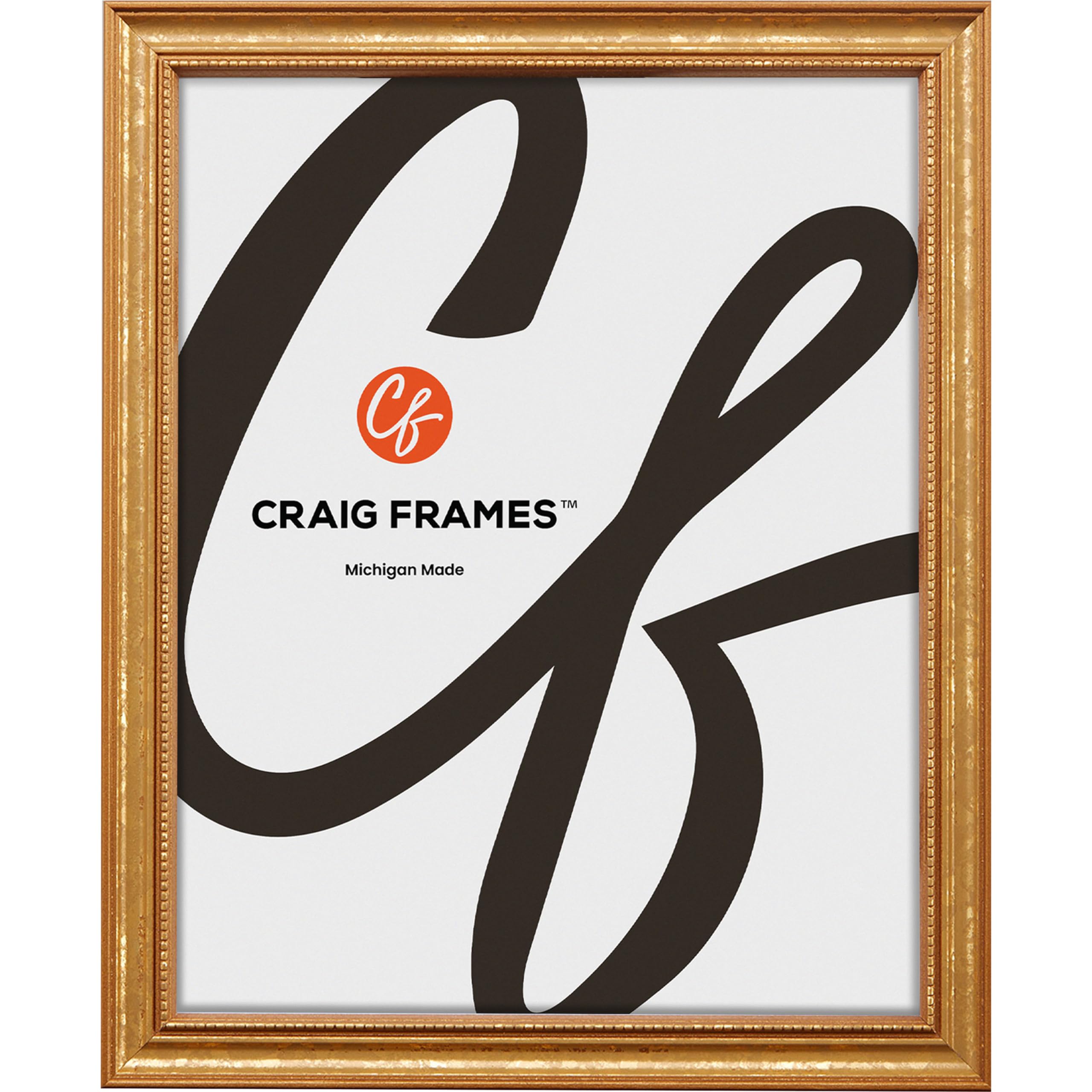 Craig Frames 314GD, 4x9 Picture Frame, Ornate Gold