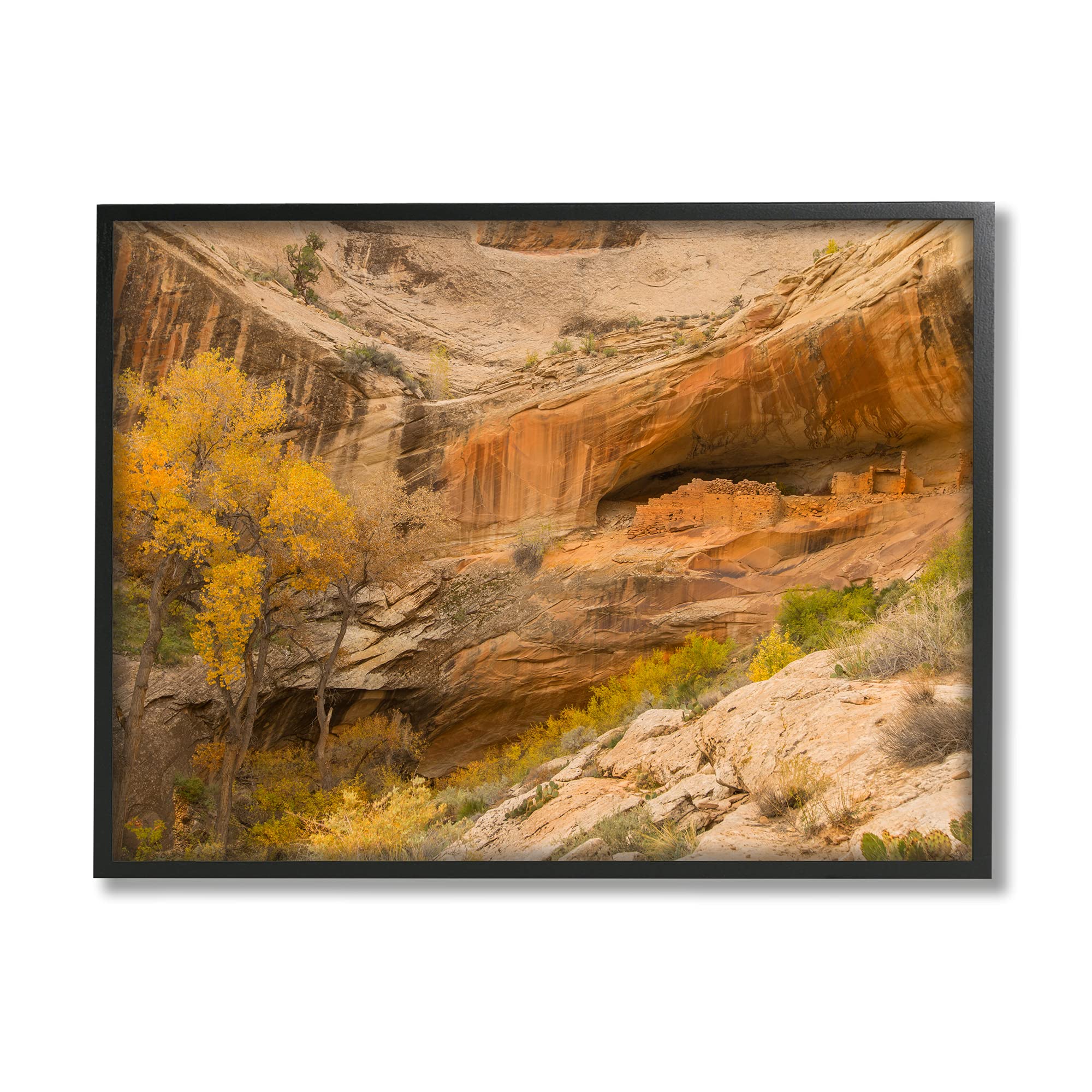 Stupell Industries Desert Foliage Landscape Southwestern Canyon Cliff, Designed By Sally Linden Black Framed Wall Art, 11 X 14, 
