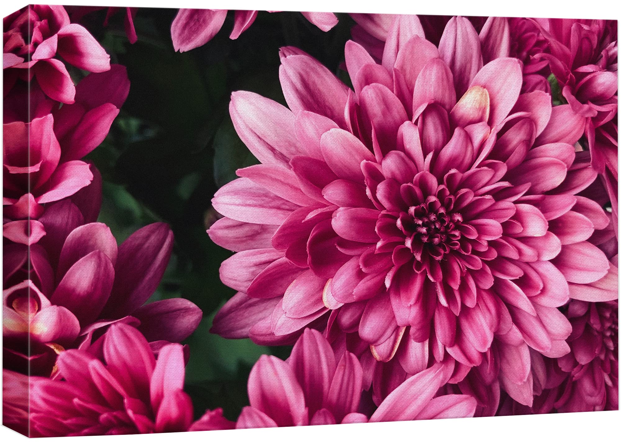 Wall26 Canvas Print Wall Art Close Up Neon Hot Pink Gerbera Flower Nature Floral Photography Realism Botanical Wilderness Zen Ru