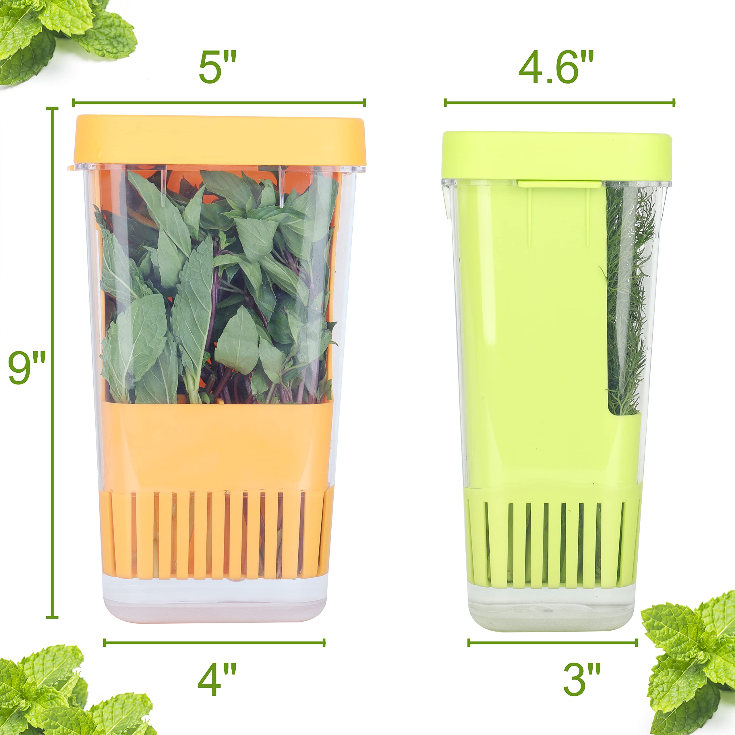 Lawnful 3 Pack Fresh Herb Keeper For Refrigerator, Clear Bpa-Free Herb Saver, Storage Container For Cilantro, Parsley, Thyme, Mi