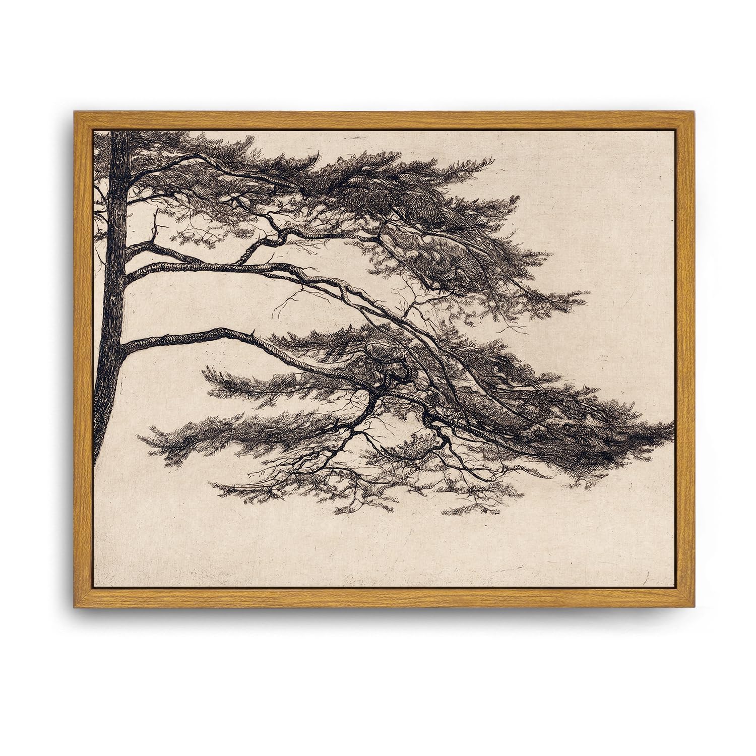 Roslynity Framed Canvas Wall Art Vintage Print Paintings Pine Tree Branch Landscape Nature Rustic Neutral Retro Aesthetic Artwor