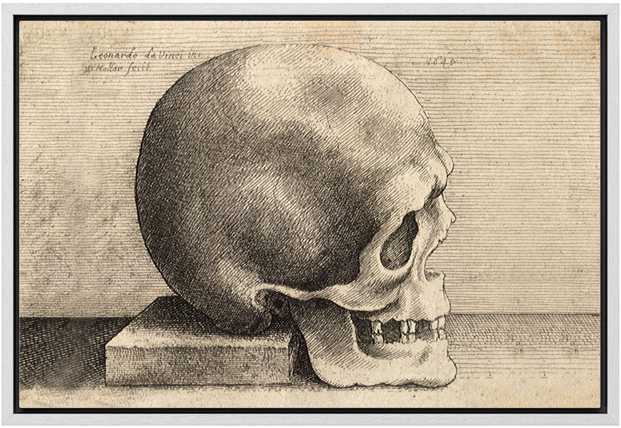 Wall26 Framed Framed Canvas Print Wall Art Right Profile Of A Skull By Leonardo Da Vinci Cultural Illustrations Realism Traditio