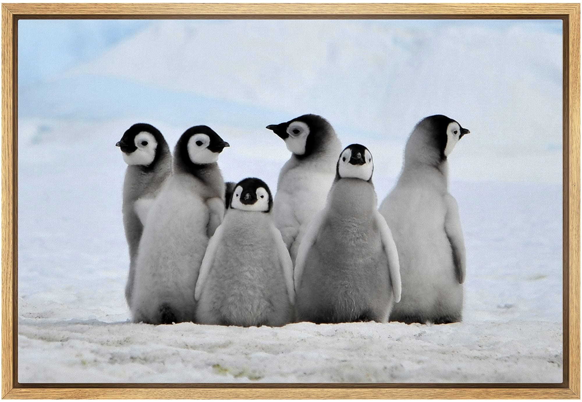 Wall26 - Framed Canvas Wall Art - Little Penguins - Giclee Print Gallery Wrap Modern Home Art Ready To Hang - 16''X24'' Natural