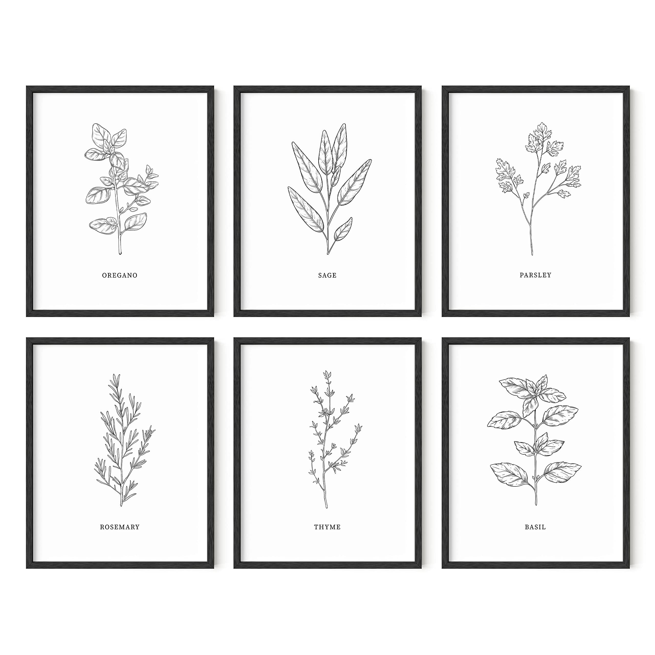 HAUS AND HUES Kitchen Herbs Wall Art Decor for Kitchen Herb Art Prints and Kitchen Signs Wall Decor  Herb Prints Kitchen Wall Art Kitchen Prints for Wall Herb Decor (8''X10'' UNFRAMED)