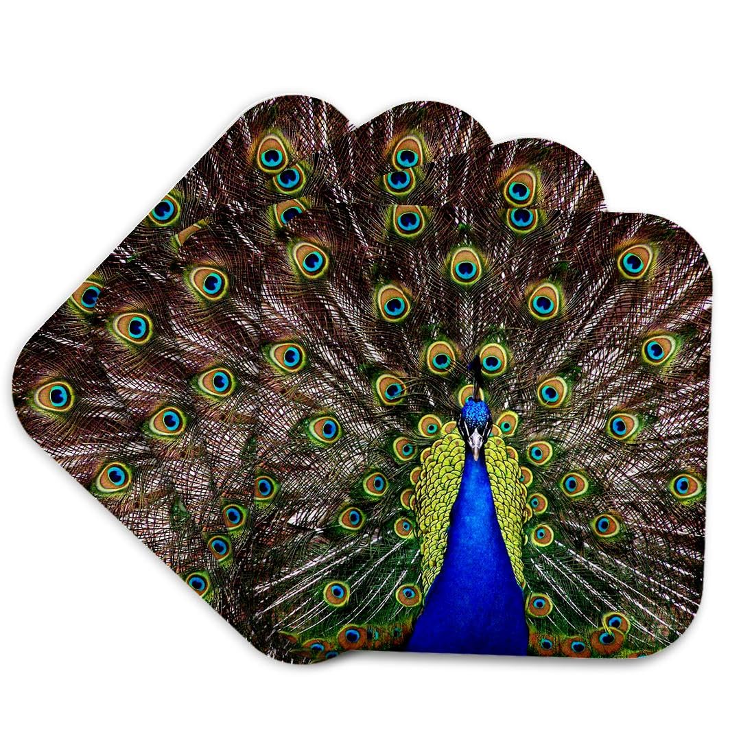 3dRose Peacock. Blue and Yellow - Soft Coasters, Set of 4 (CST_216281_1)