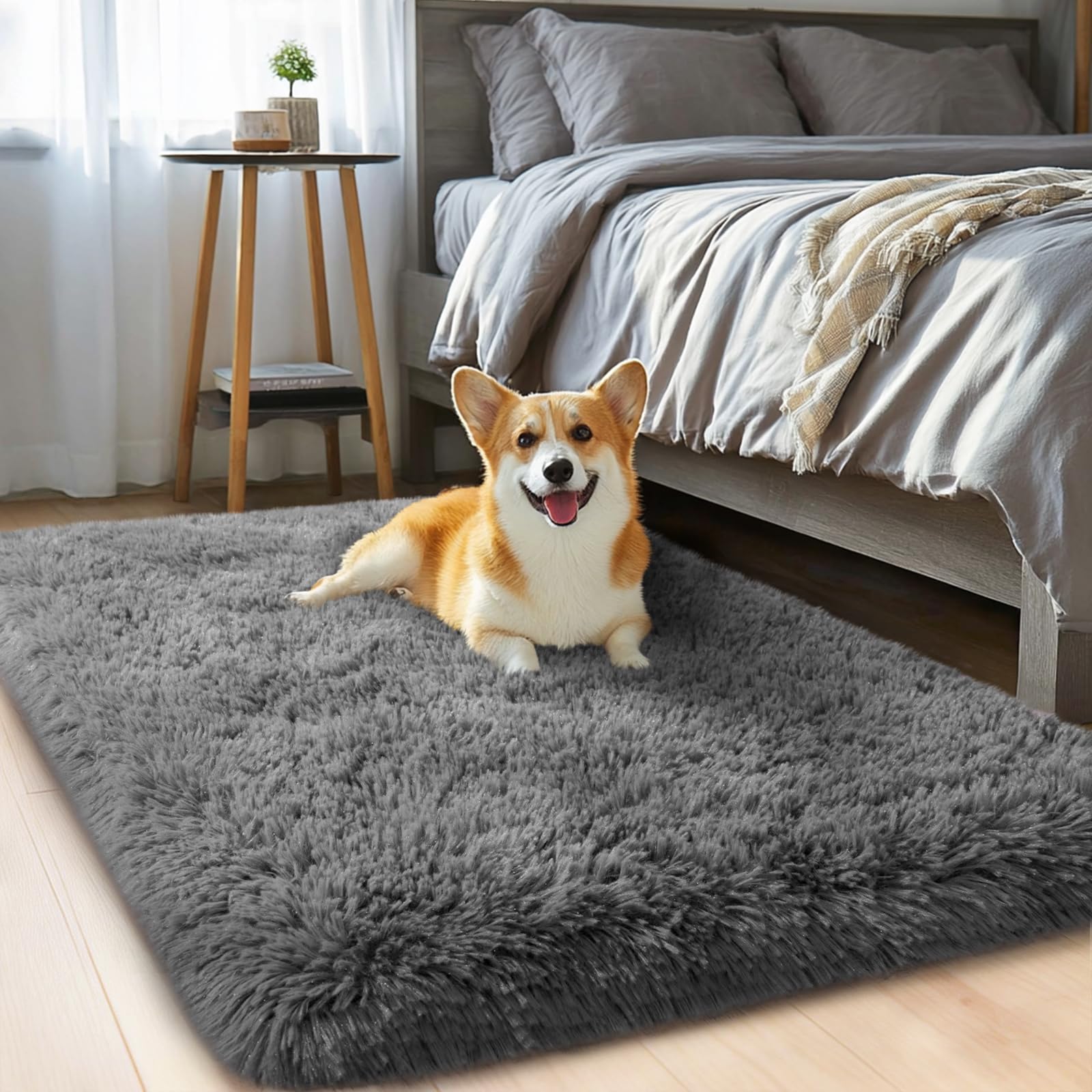 qulint 2x3 Rug for Bedroom, Soft Shag Dark Grey Besides Rug Fuzzy Shaggy Small Carpet for Boys Room, Plush Fluffy Modern Alfombr