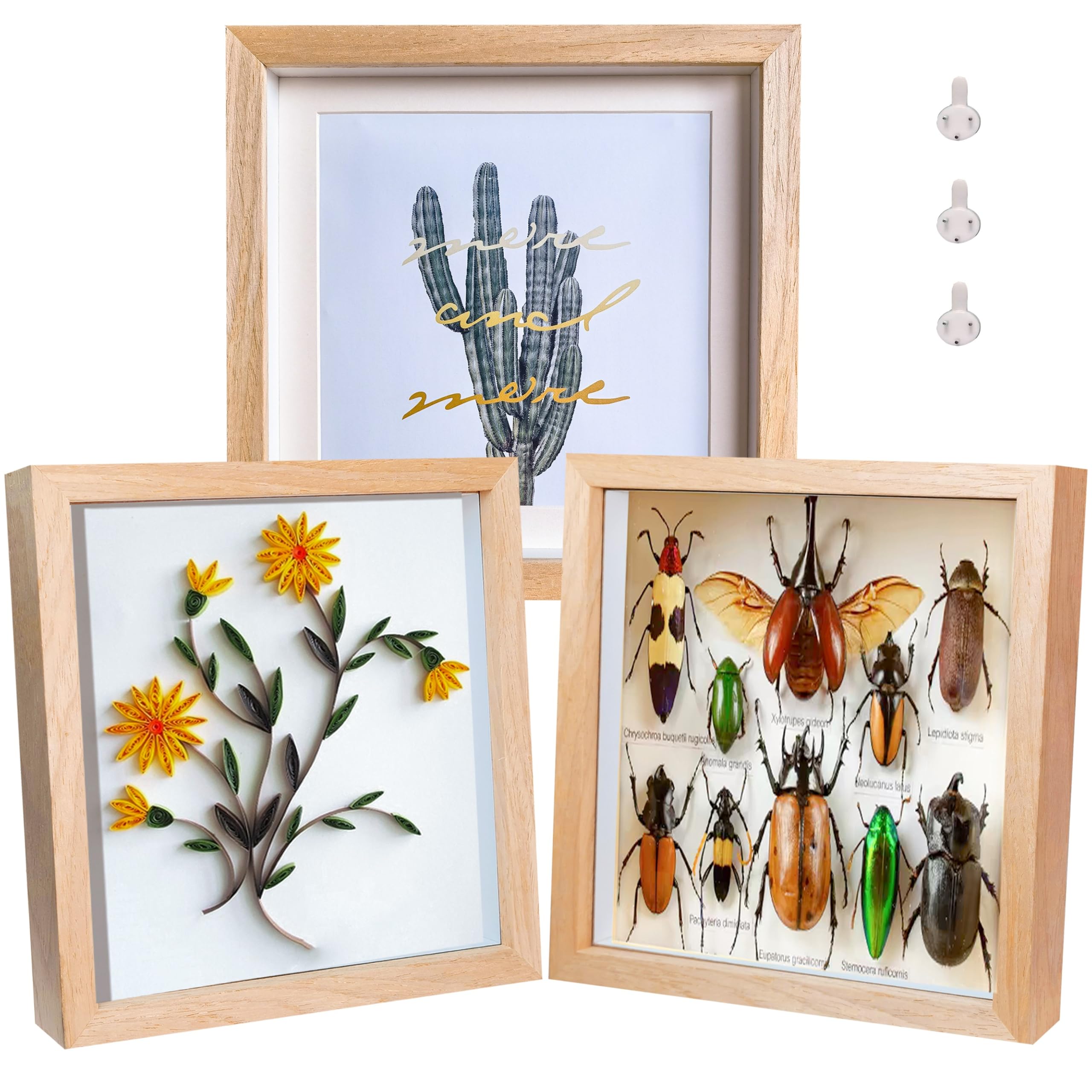 Dohomi 8x8 Shadow Box Frame Natural Wood Shadow Box Display Case 3 Pack Picture Frames Glass Surface Internal Depth 0.6 inch for