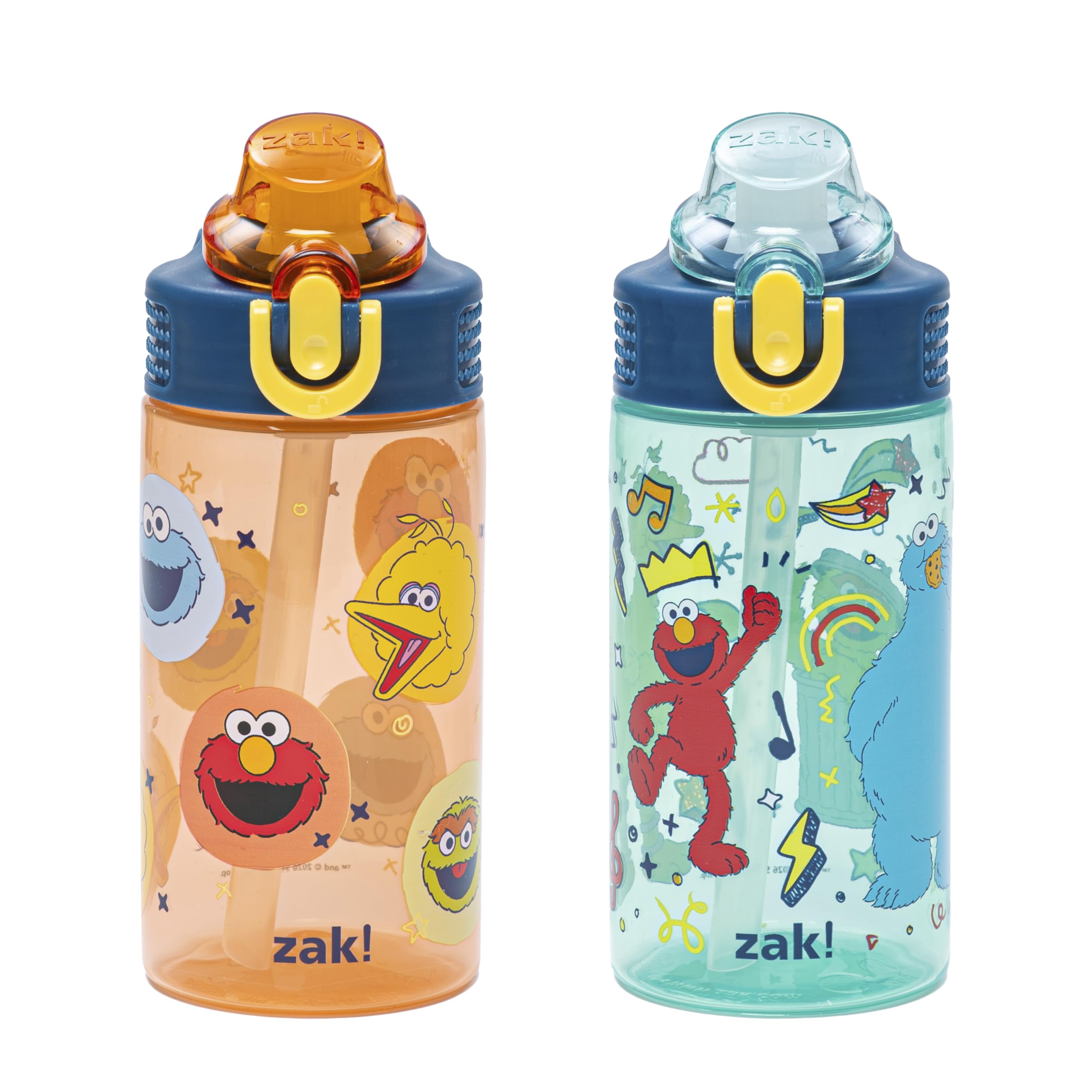 Zak Designs Sesame Street Sage Kids Water Bottle For School or Travel, 16oz Durable Plastic Water Bottle With Straw, Handle, and