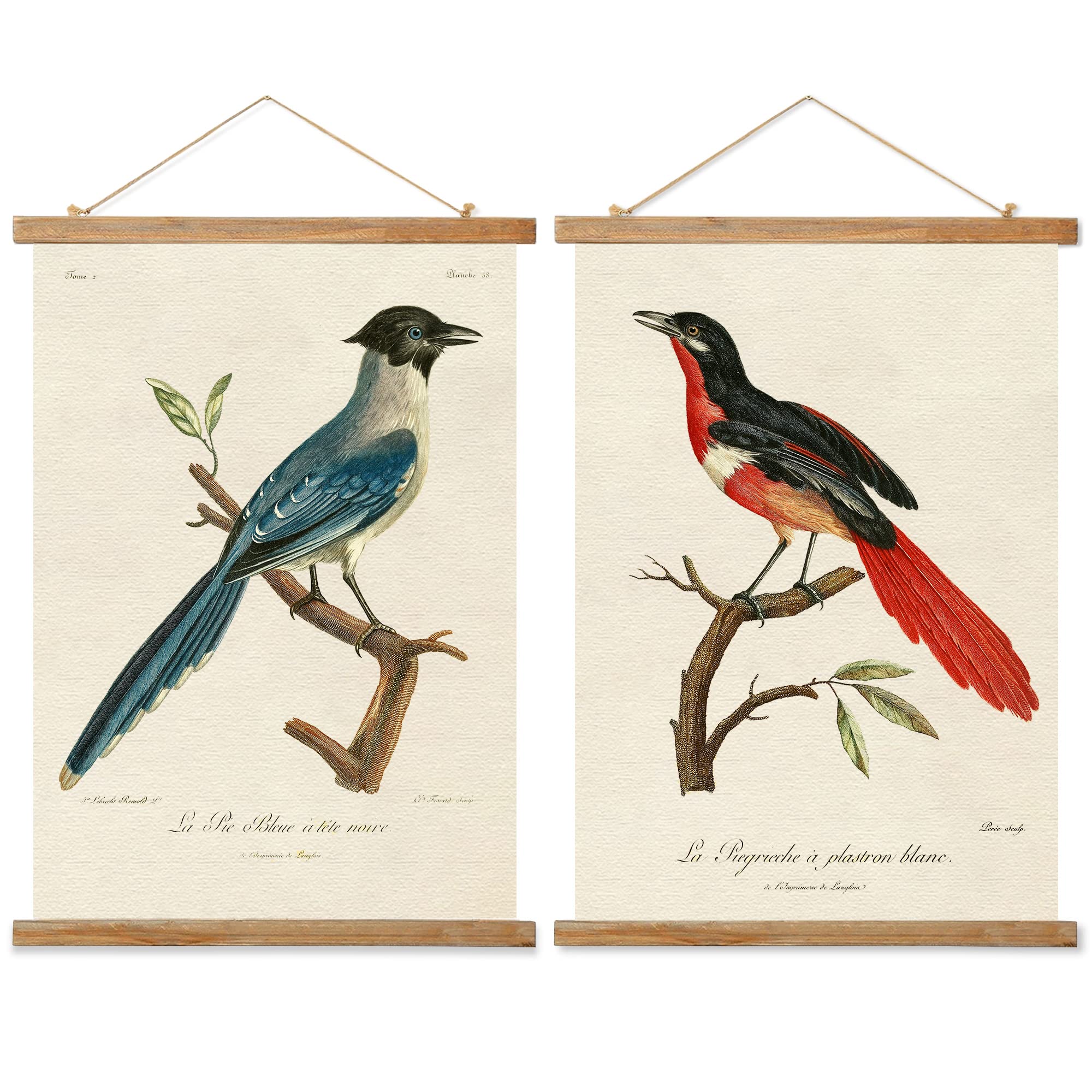Ovfovy 2 Pack Vintage Birds Poster, Rustic Room Aesthetic, Retro Wall Art Prints Without Fading, Printed On Linen With Wood Fram