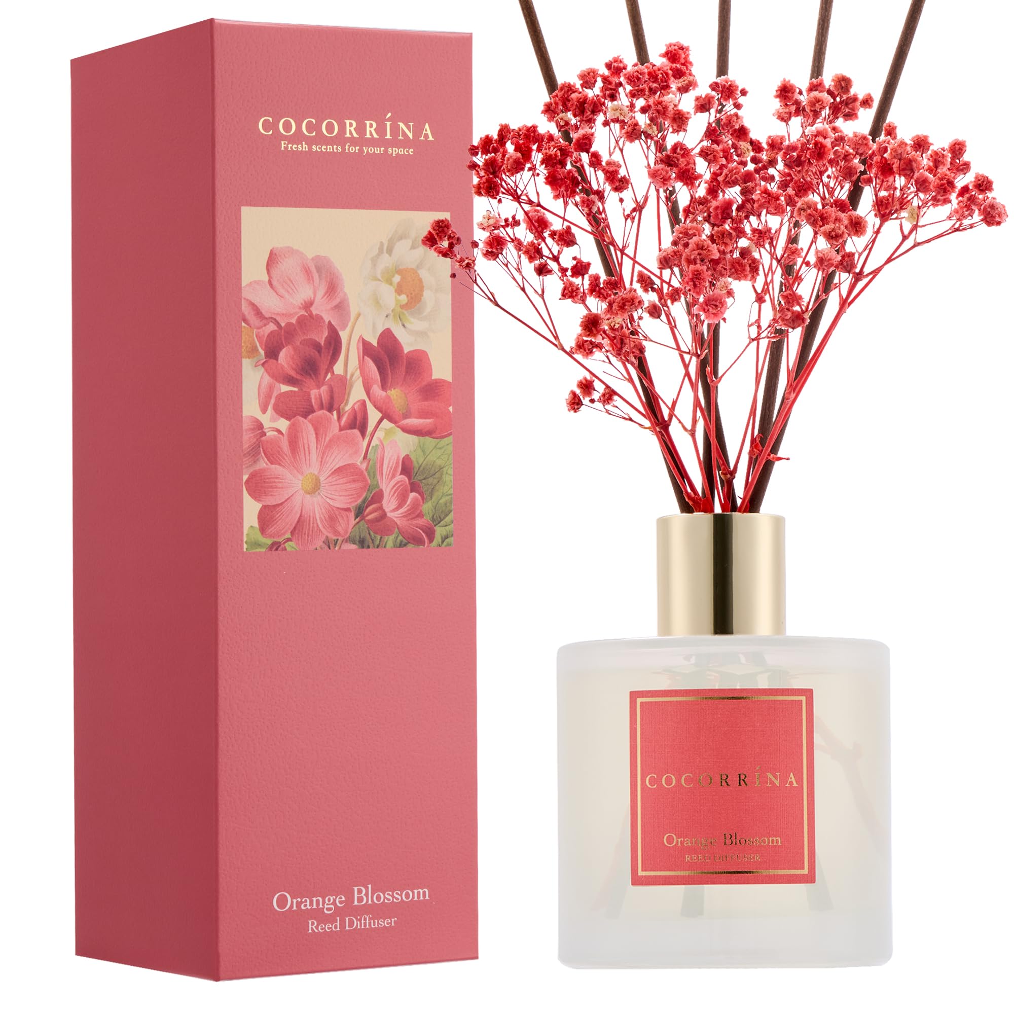 COCORR  NA Reed Diffuser - Orange Blossom 6.76 Fl.oz Reed Diffuser Sets with Preserved Flowers, Diffuser with 8 Sticks for Bathr