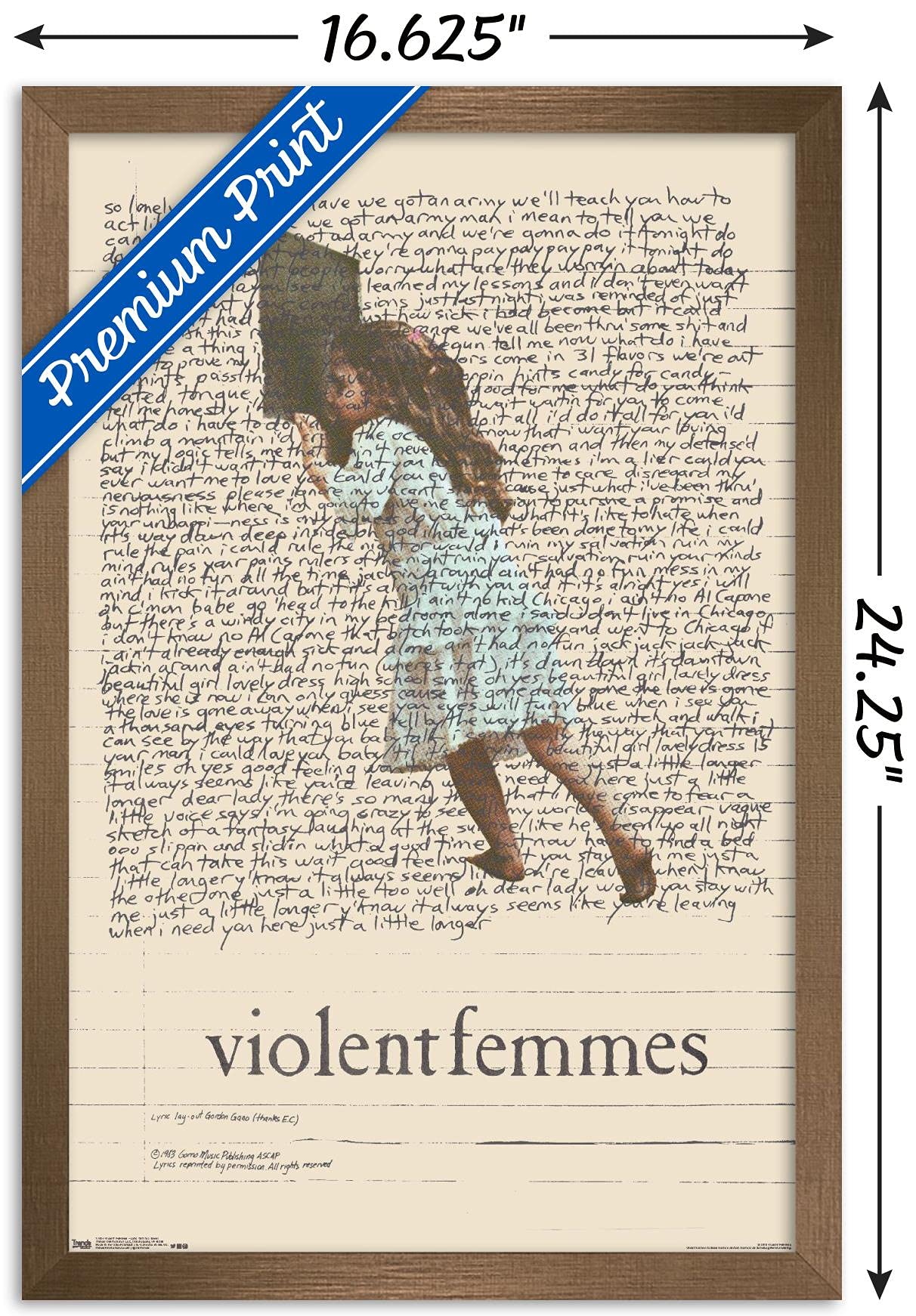 Trends International Violent Femmes - Lyric Girl Tea Towel Wall Poster, 14.725'' X 22.375'', Bronze Framed Version