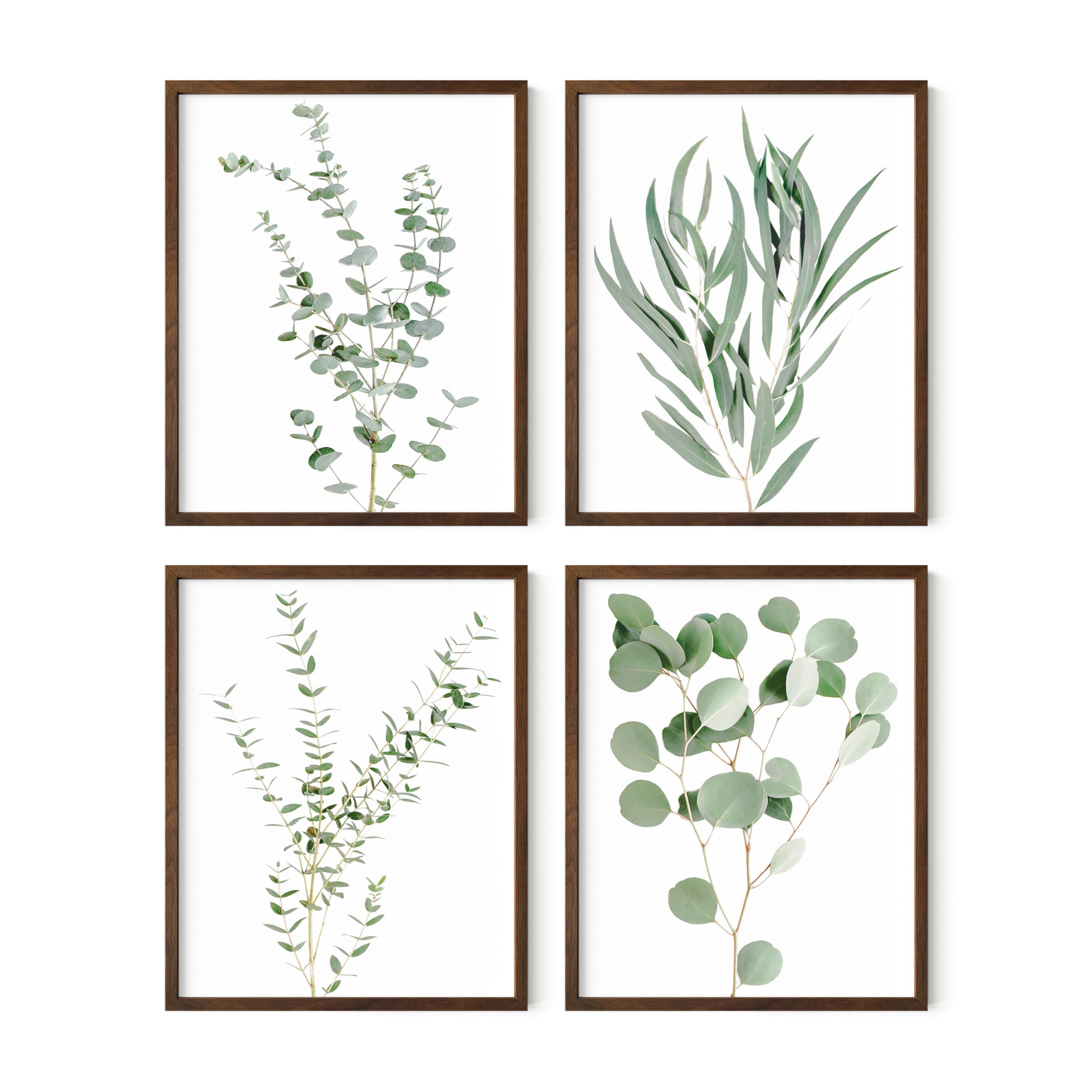 Haus And Hues Botanical Plant Wall Art Prints - Set Of 4 Plant Wall Decor Prints, Floral Kitchen, Flower Leaves Wall Art, Boho L