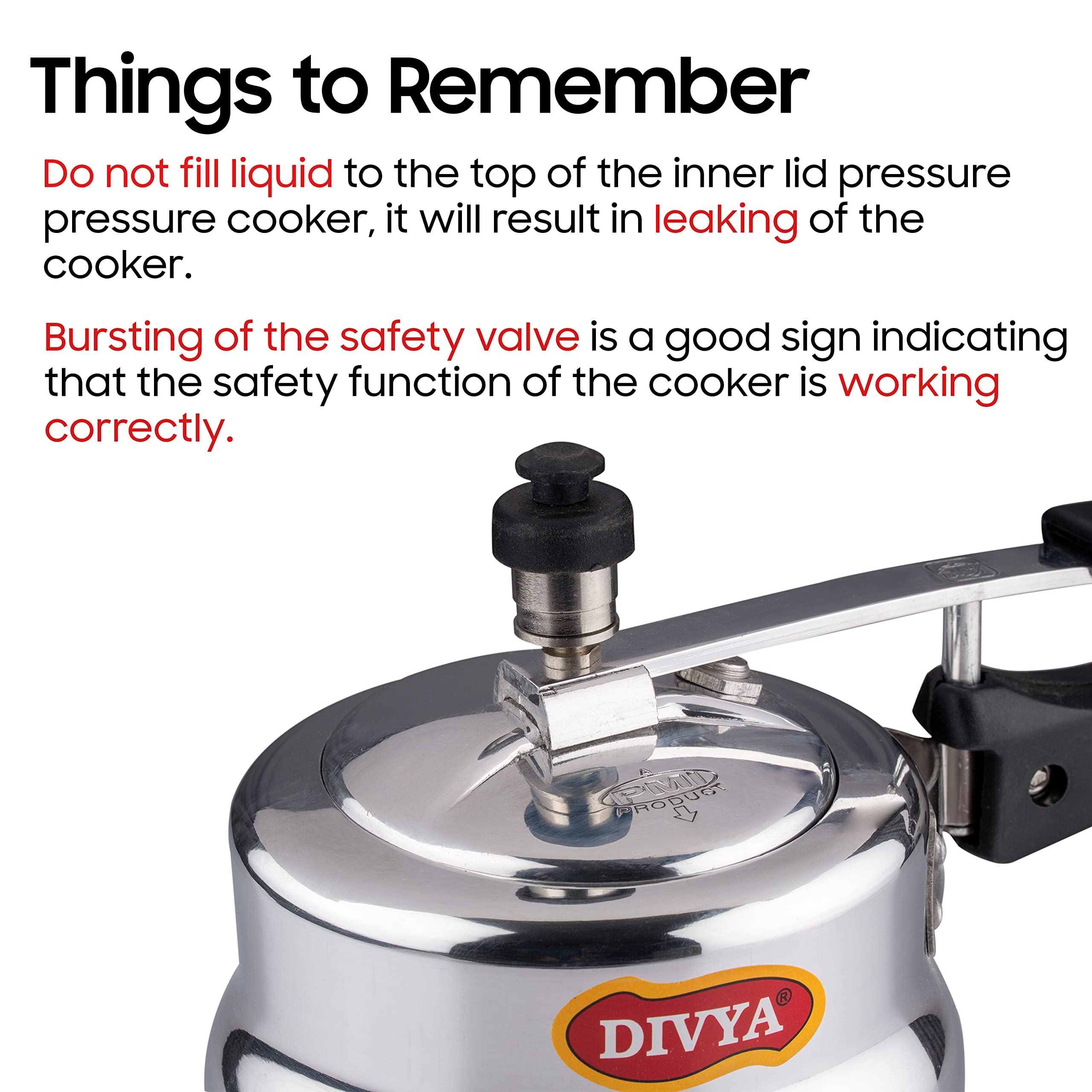 DIVYA 1 Litre Baby Handi Pressure Cooker