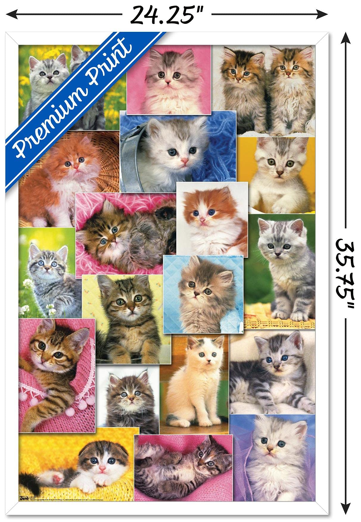 Trends International Keith Kimberlin - Kittens Collage Wall Poster, 22.375'' X 34'', White Framed Version