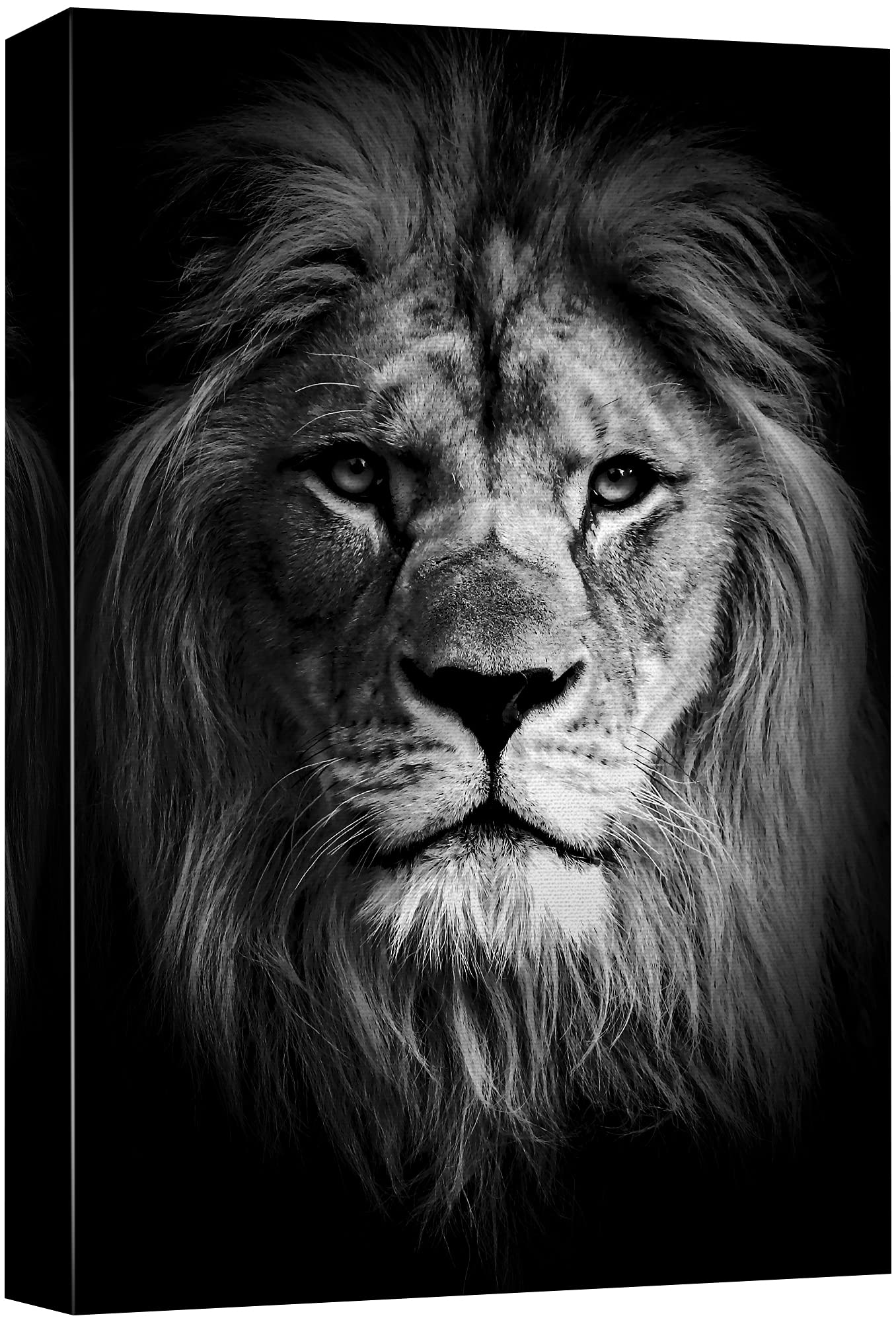 Signford Canvas Print Wall Art Portrait Of Lion Animals Wildlife Photography Realism Modern Closeup Dramatic Dark Black And Whit