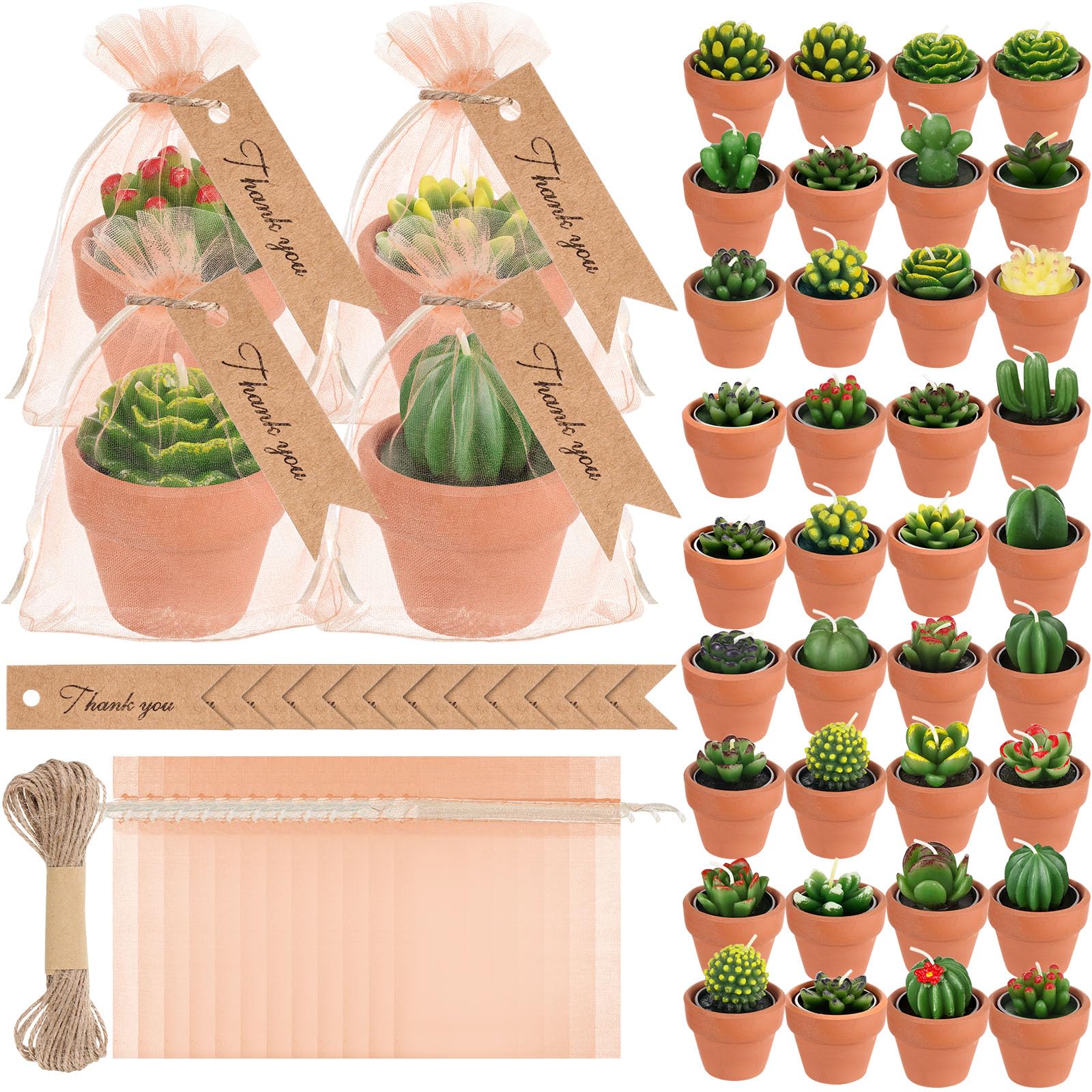 MTLEE 48 Pcs Succulent Tealight Candles - Wedding Party Baby Shower Valentines Gifts Birthday Pack with Terracotta Pot, Organza 