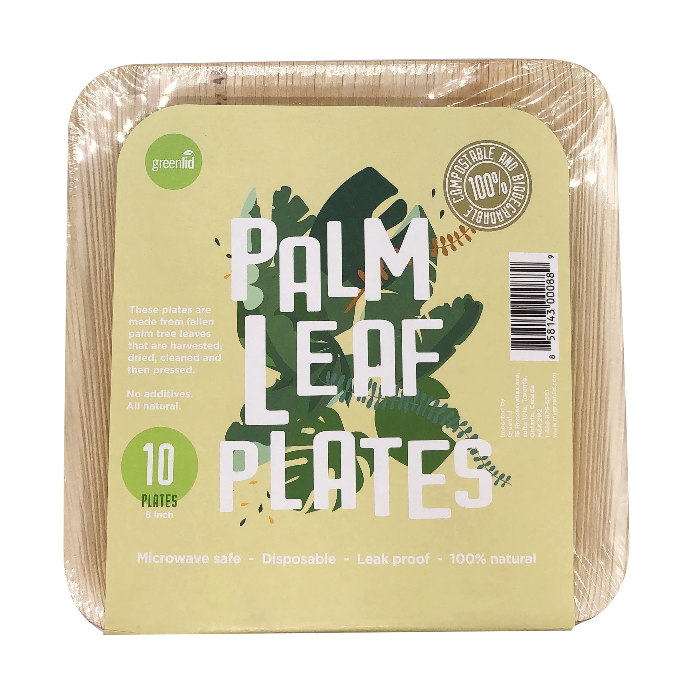 Greenlid Sqr Plate 8Inch ( 16 X 10 Ct   )