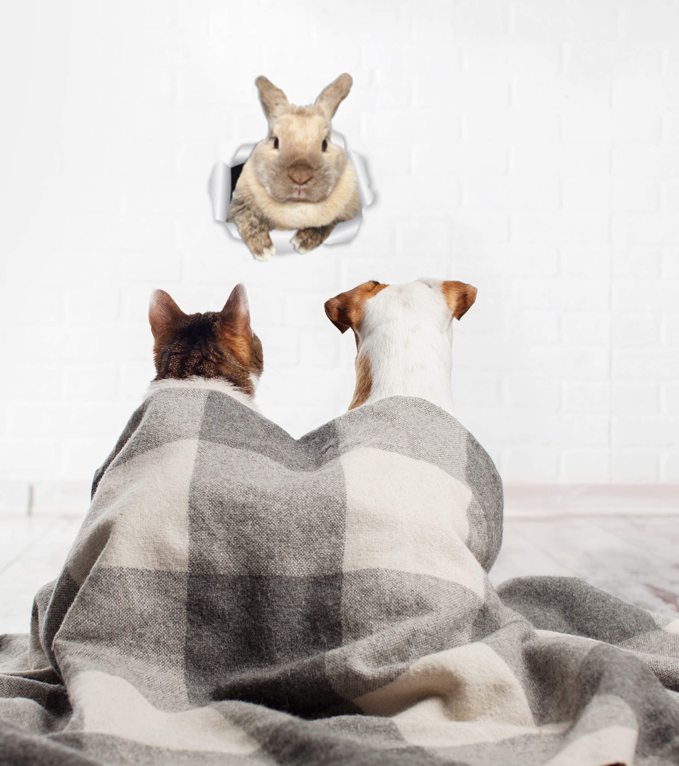 Winston & Bear Rascally Rabbit Wall Decals - Easter Decor - 2 Pack - Bunny Toilet Sticker - 3D Cat Car Window And Bumper Sticker