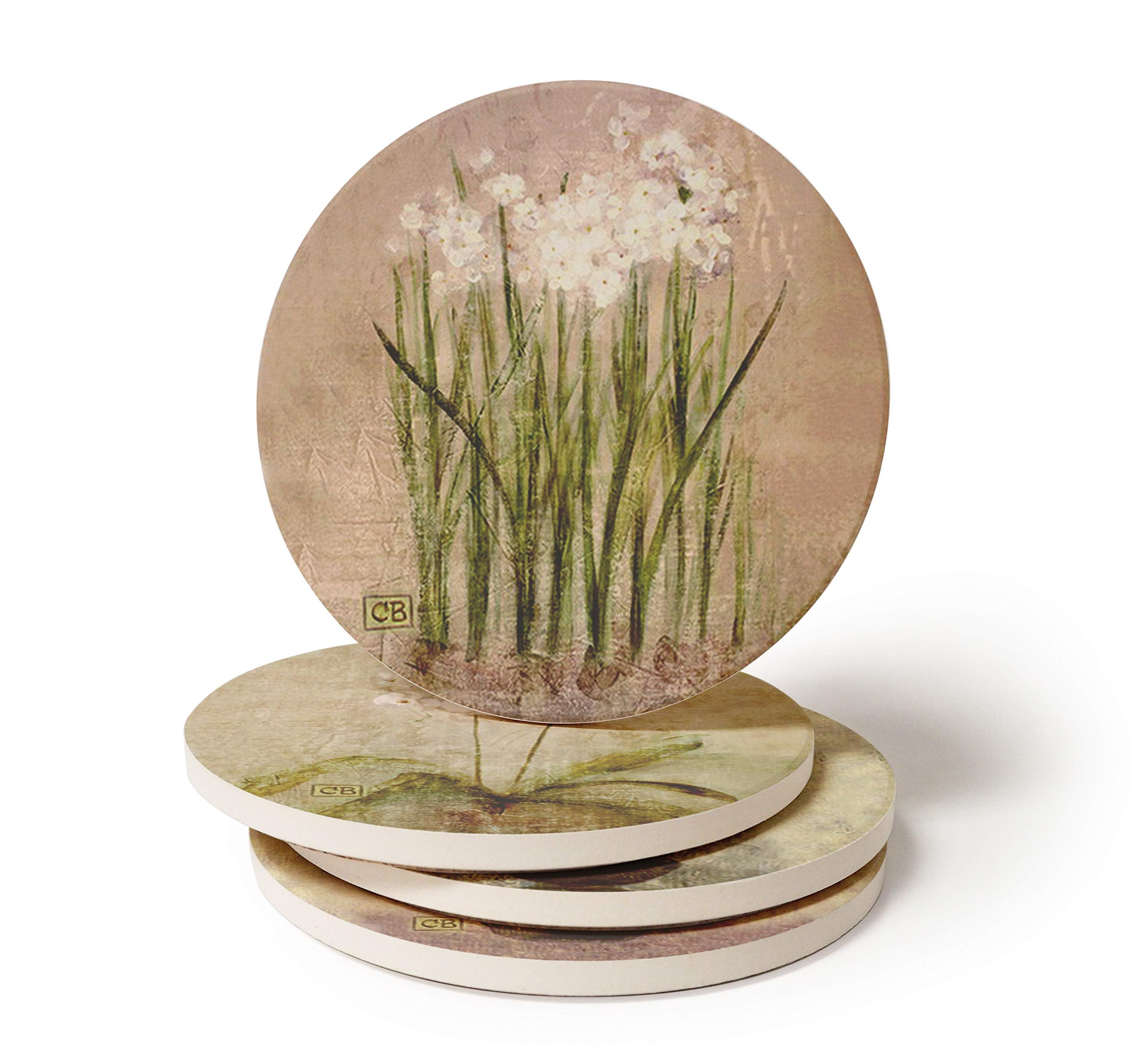 Coasterstone Subtle Flowers Absorbent Coasters, 4-1/4-Inch, Set Of 4