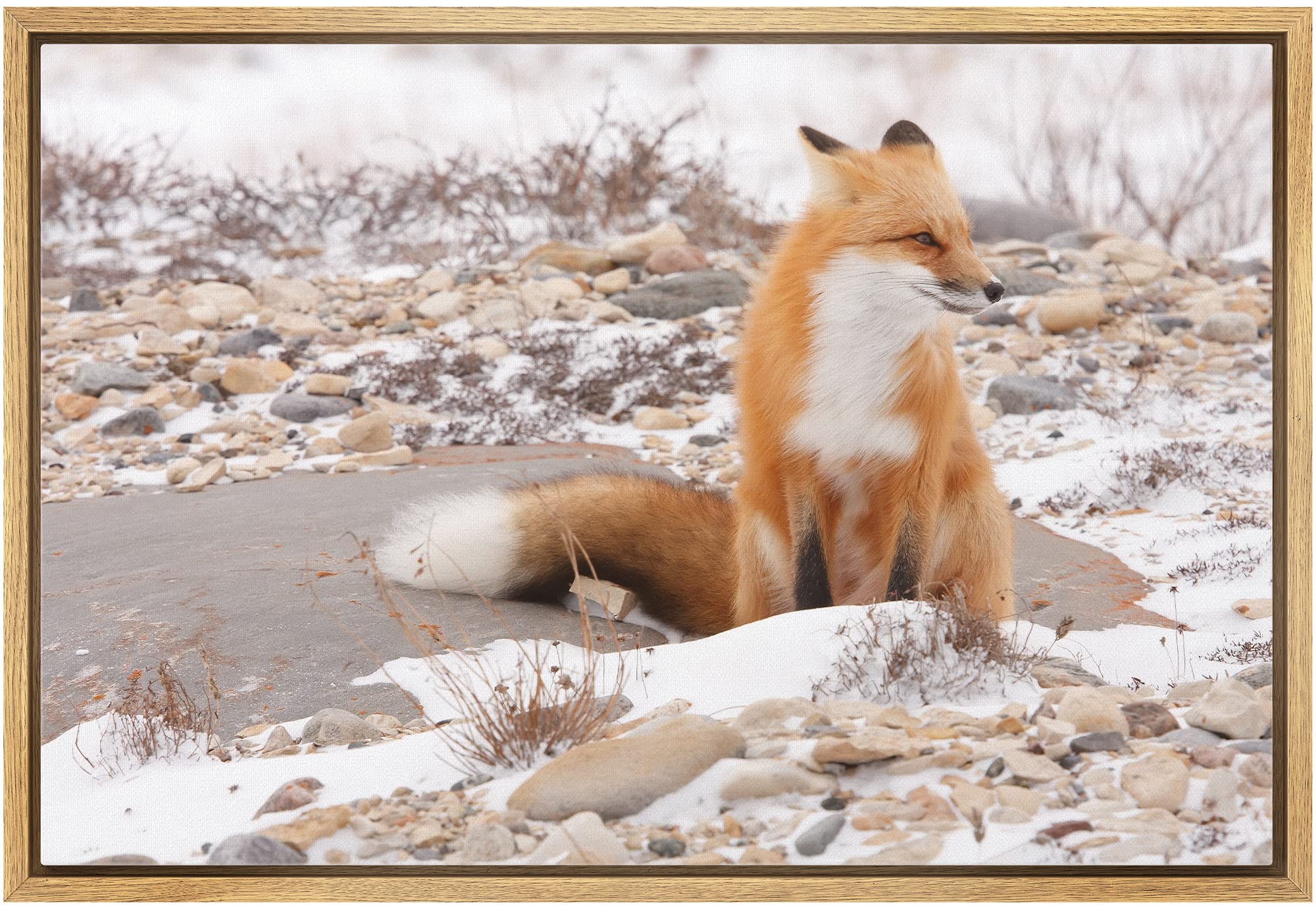 Wall26 Framed Canvas Wall Art - Be A Unicorn In A Field Of Horses - Giclee Print Gallery Wrap Modern Home Art Ready To Hang - 16