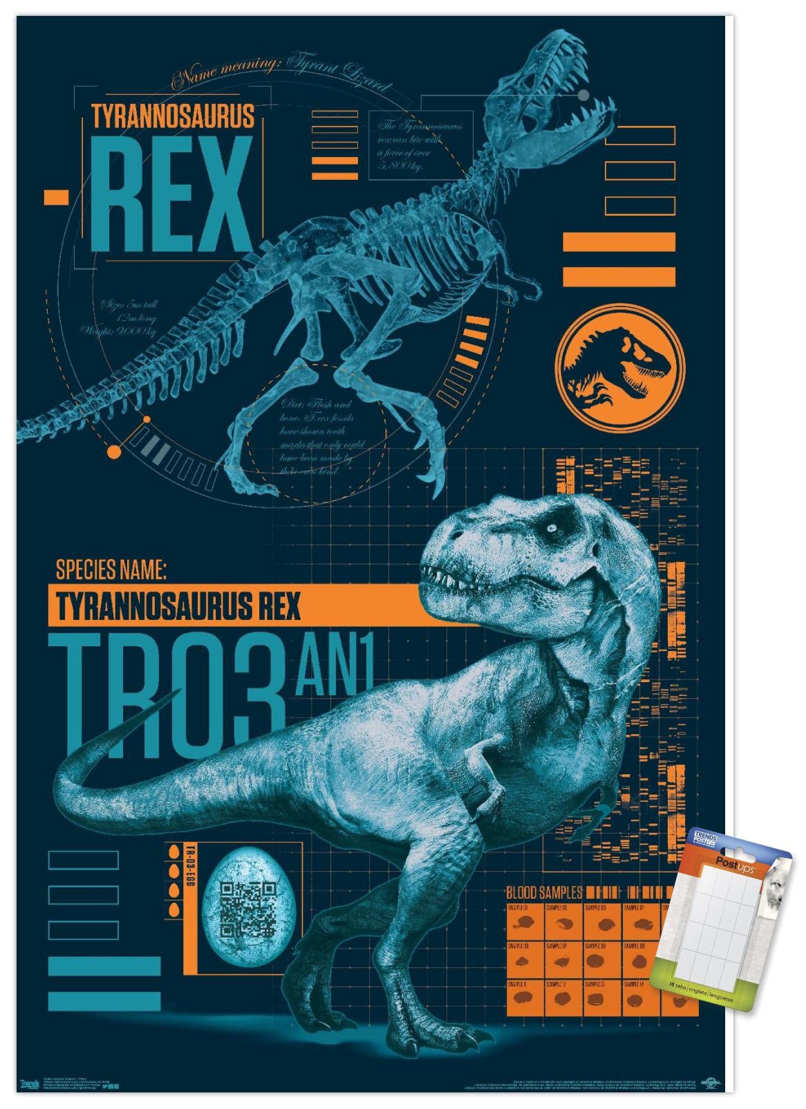 Trends International Jurassic World: Fallen Kingdom - T-Rex Wall Poster, 14.725'' X 22.375'', Premium Poster & Mount Bundle