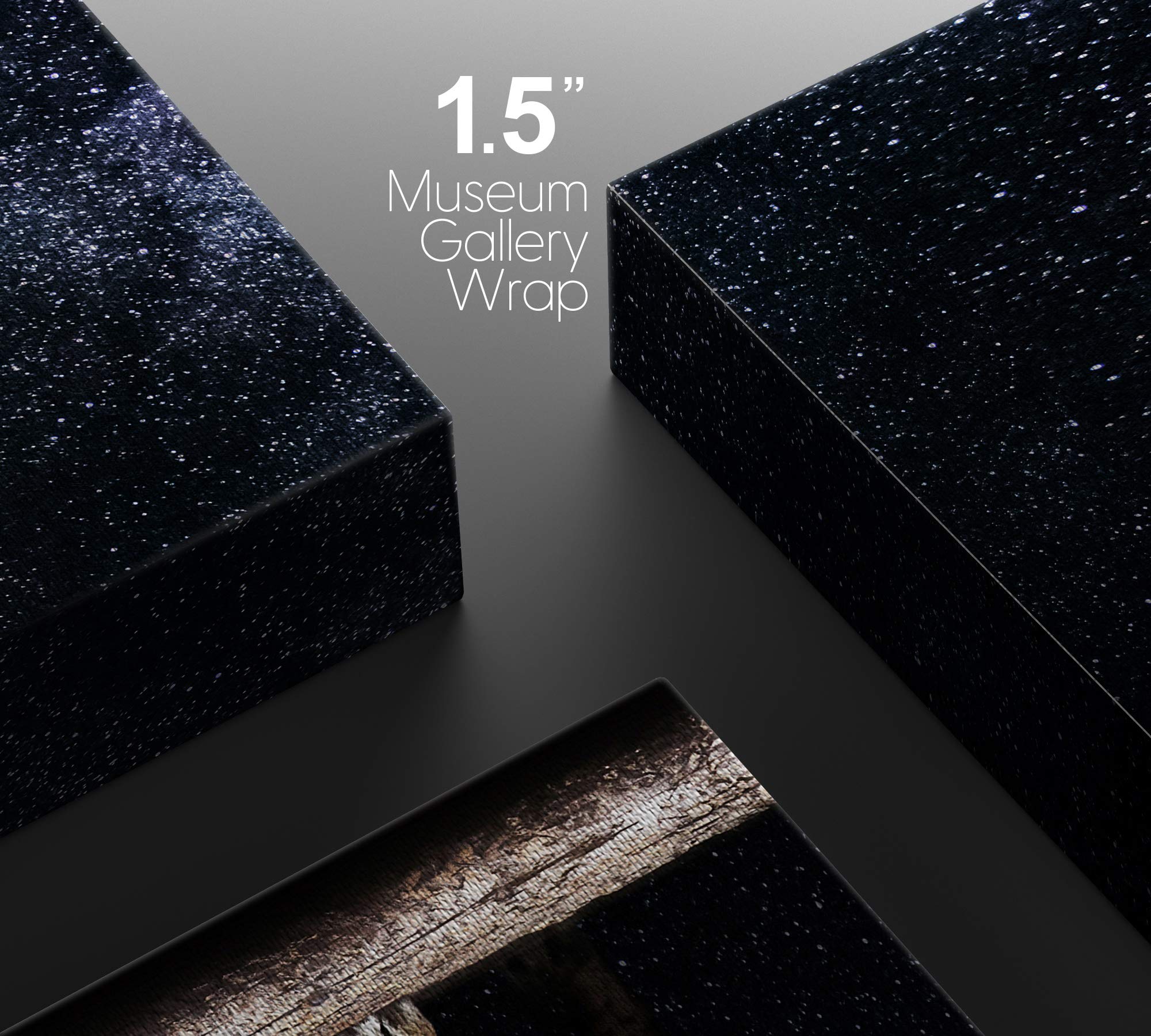 Signford Canvas Print Wall Art Set Lion Portrait In The Dark Galaxy Animals Wilderness Mixed Media Modern Art Contemporary Sceni