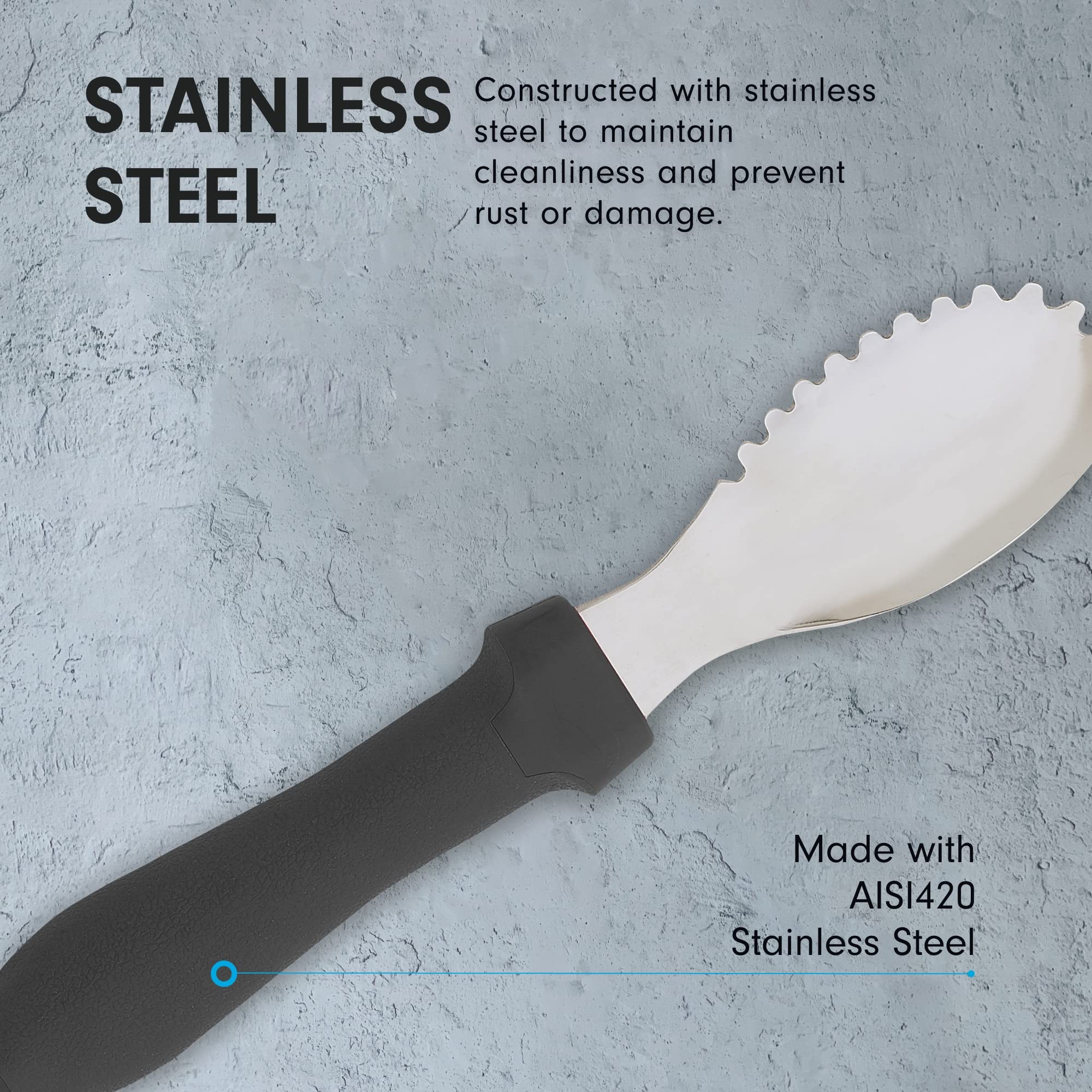 Messermeister Pro-Torch Plus Culinary Scoop & Scraper - Multi-Purpose Tool to Remove Seeds  Pulp & More - AISI420 Stainless Steel & Oversized Handle