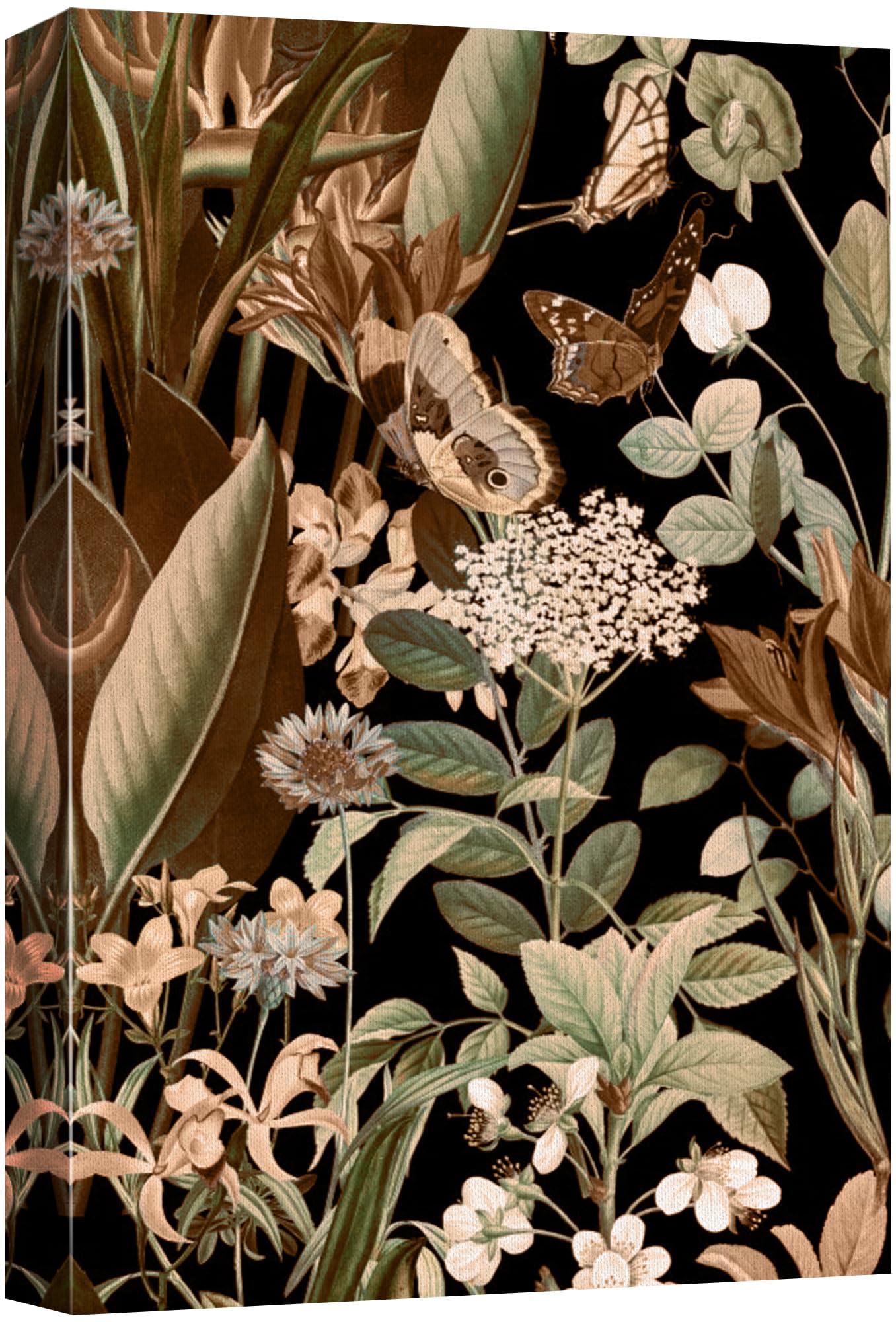 Wall26 Canvas Print Wall Art Exotic Butterfly And Botanical Intricate Nature Wilderness Photography Modern Art Decorative Countr