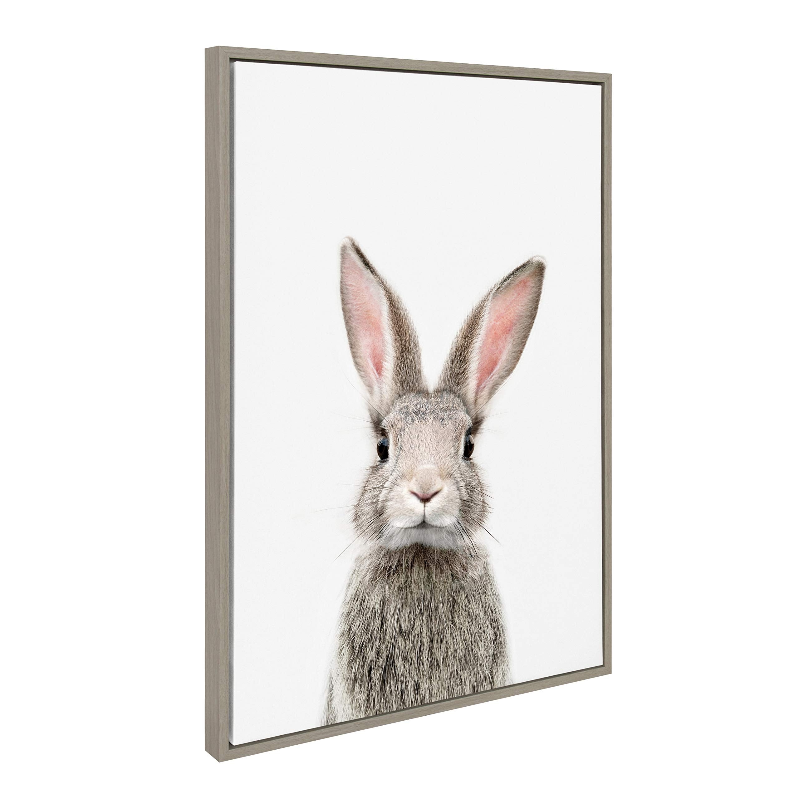 Kate And Laurel Sylvie Female Baby Bunny Rabbit Animal Print Portrait Framed Canvas Wall Art By Amy Peterson, 23X33, Gray