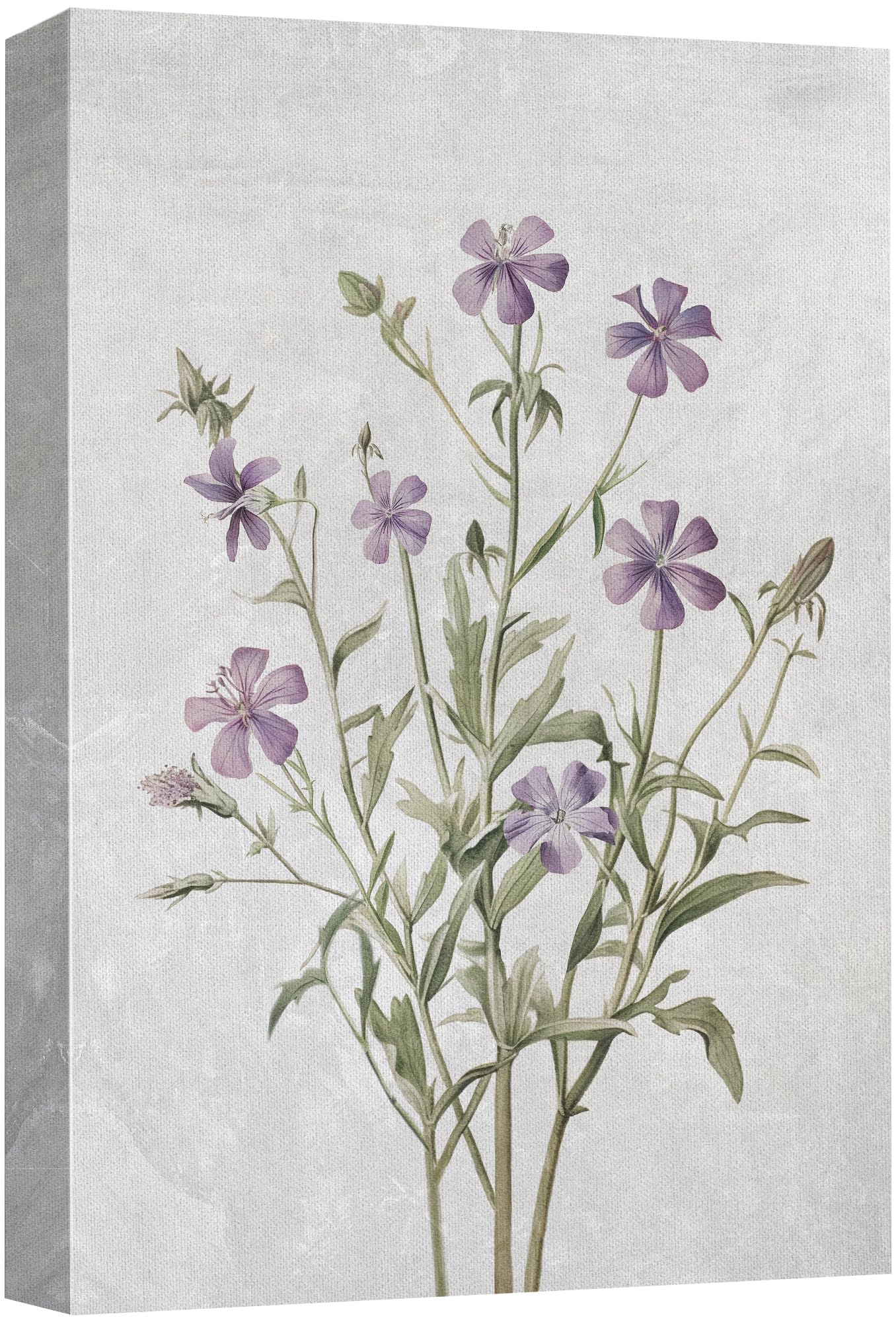 Wall26 Canvas Print Wall Art Purple Watercolor Wildflower Still Life Nature Wilderness Illustrations Modern Art Botanical Floral