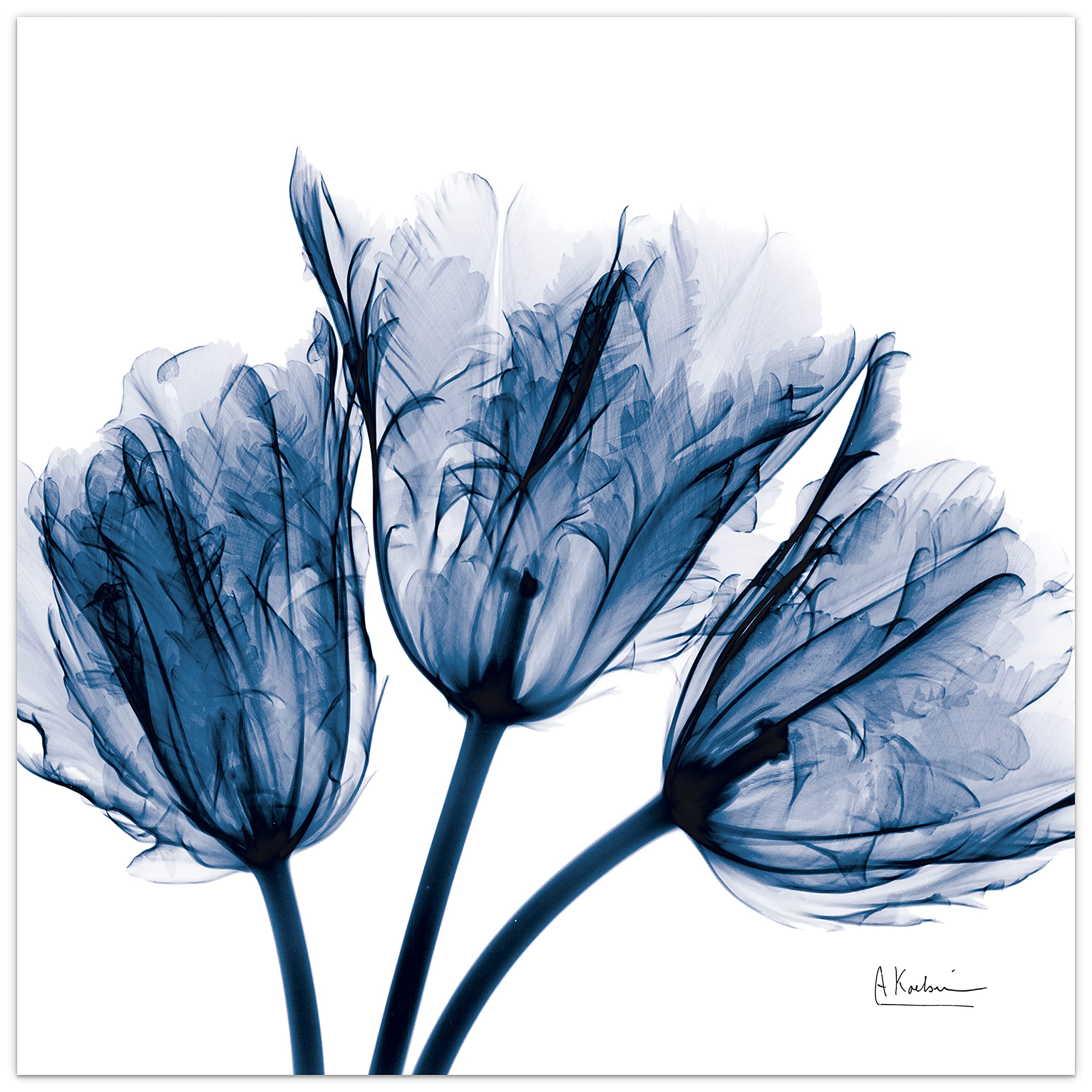 Empire Art Direct - Tmp-Ak011A-2424 Blue Tulip X-Ray Flower Wall Art On Frameless Free Floating Tempered Glass Panel Ready To Ha