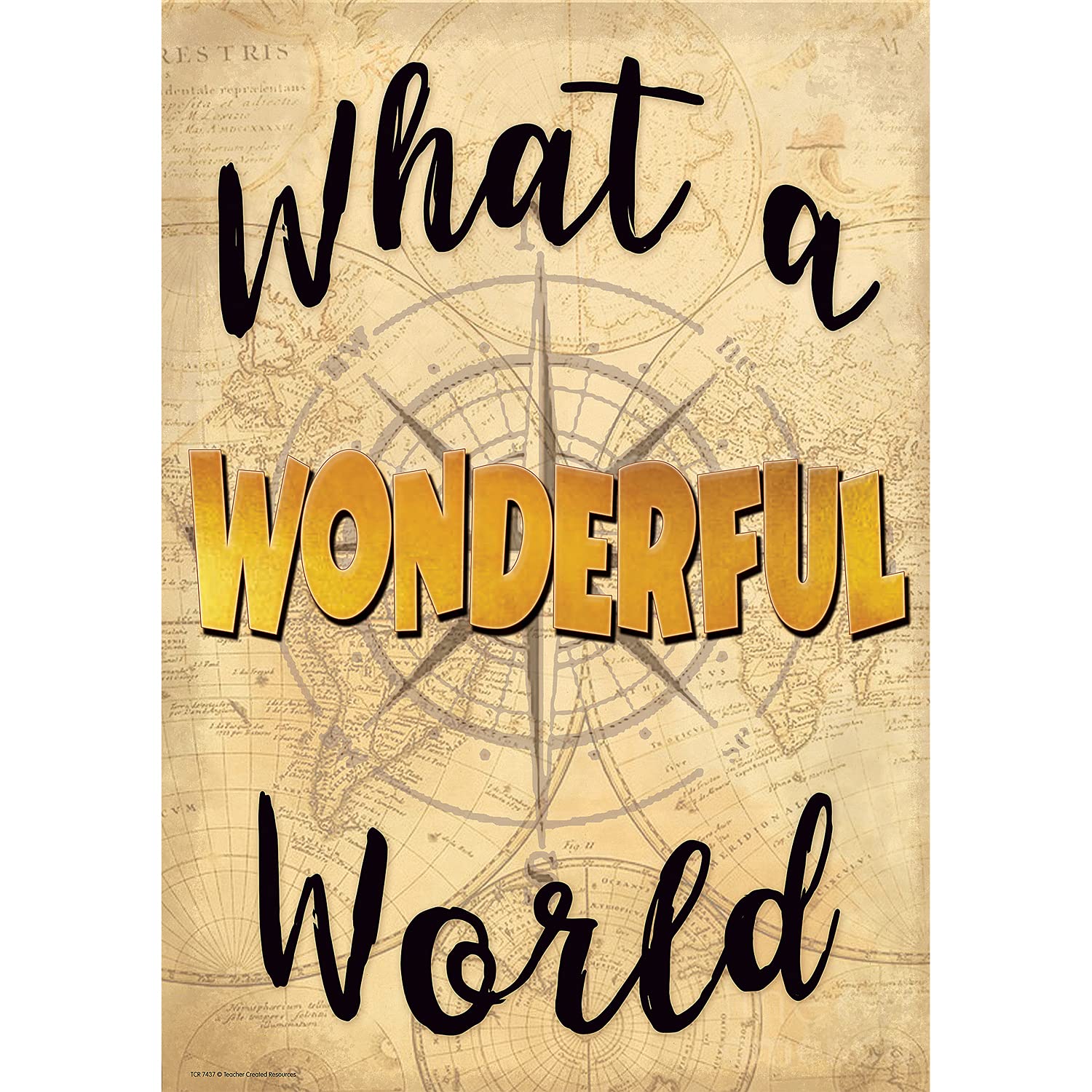 WHATS A WONDERFUL WORLD POSITIVE